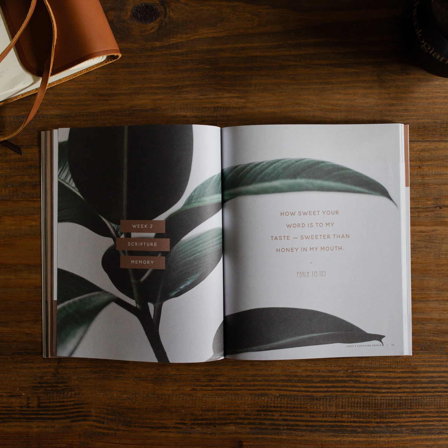 Growing in Grace | Spiritual Disciplines Study - Men - Image 5