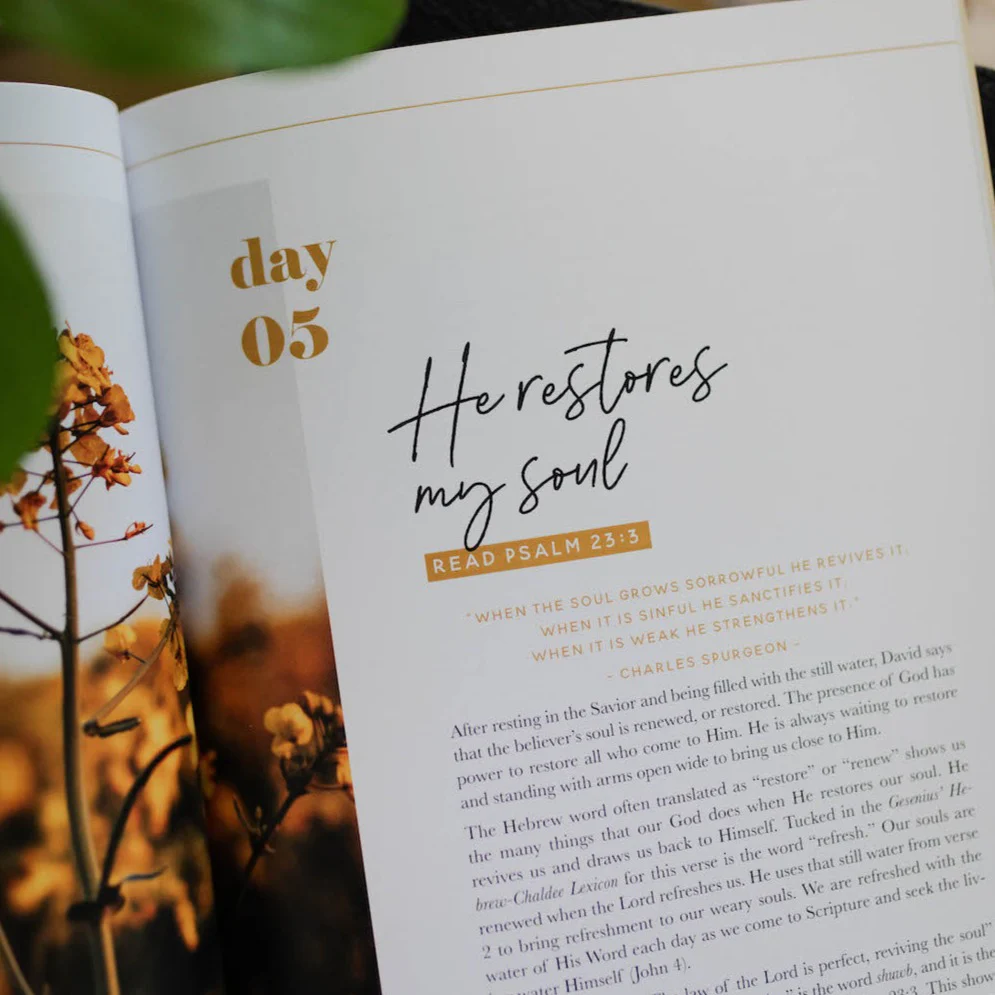 He Leads Me Bible Study | Psalm 23 - Image 3