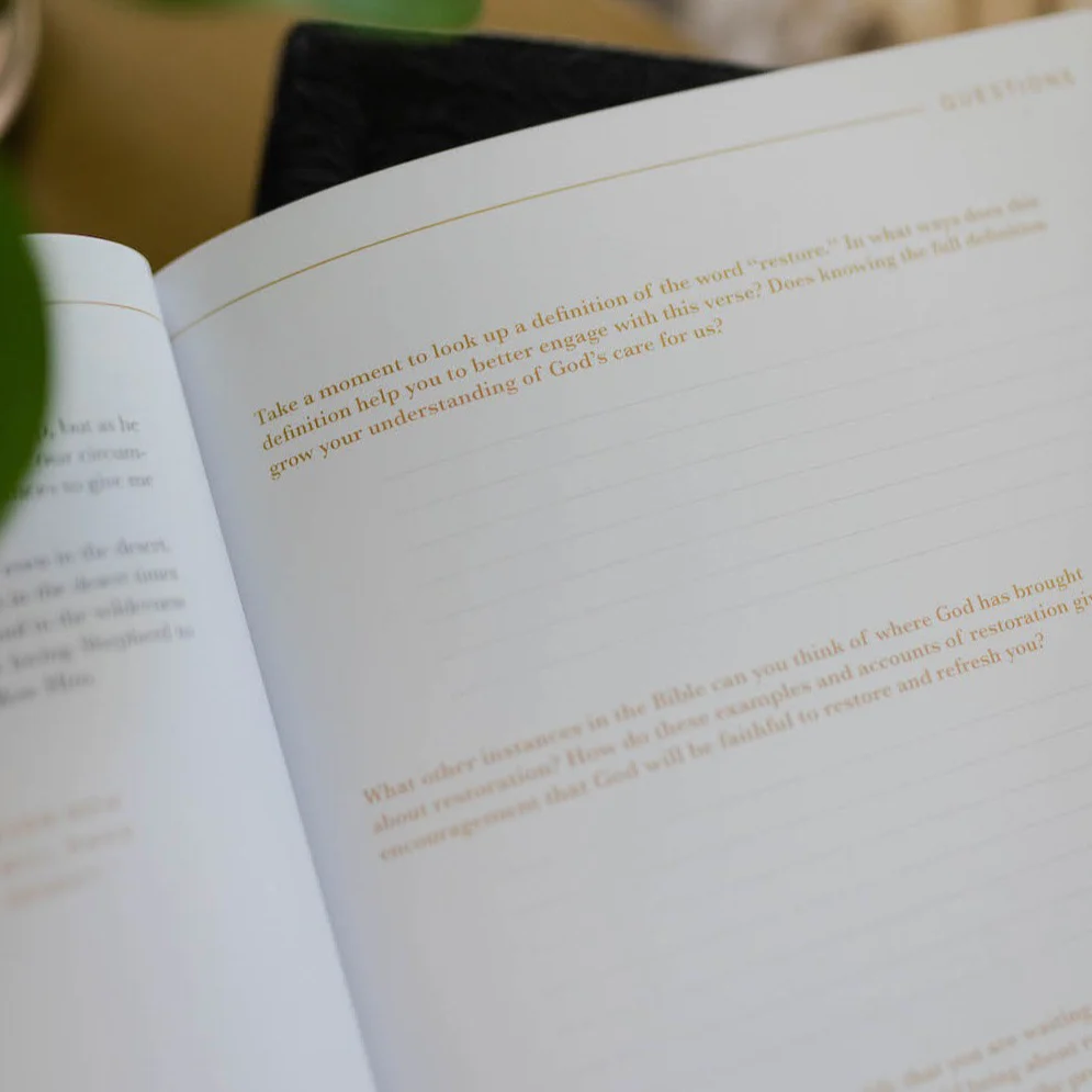 He Leads Me Bible Study | Psalm 23 - Image 4