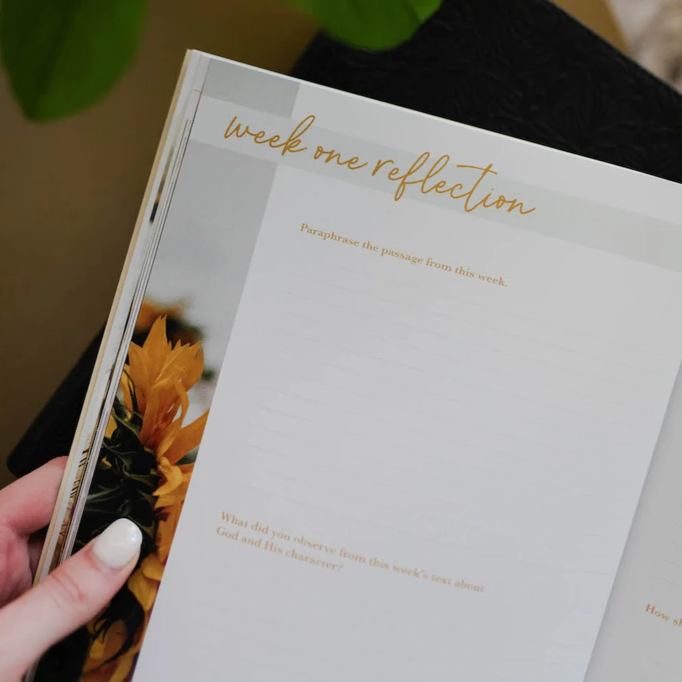 He Leads Me Bible Study | Psalm 23 - Image 6