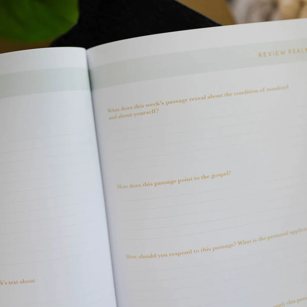 He Leads Me Bible Study | Psalm 23 - Image 7