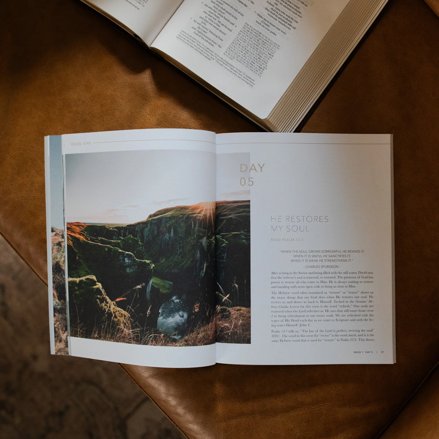 He Leads Me | Psalm 23 - Men - Image 3