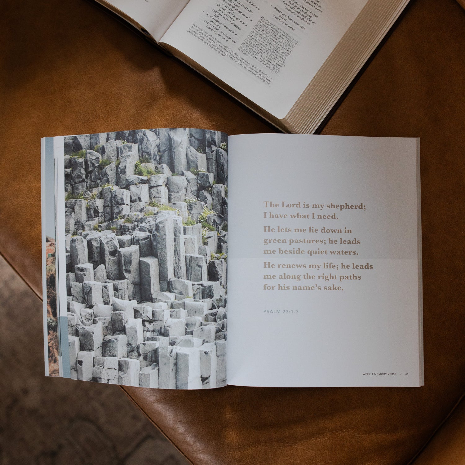 He Leads Me | Psalm 23 - Men - Image 5
