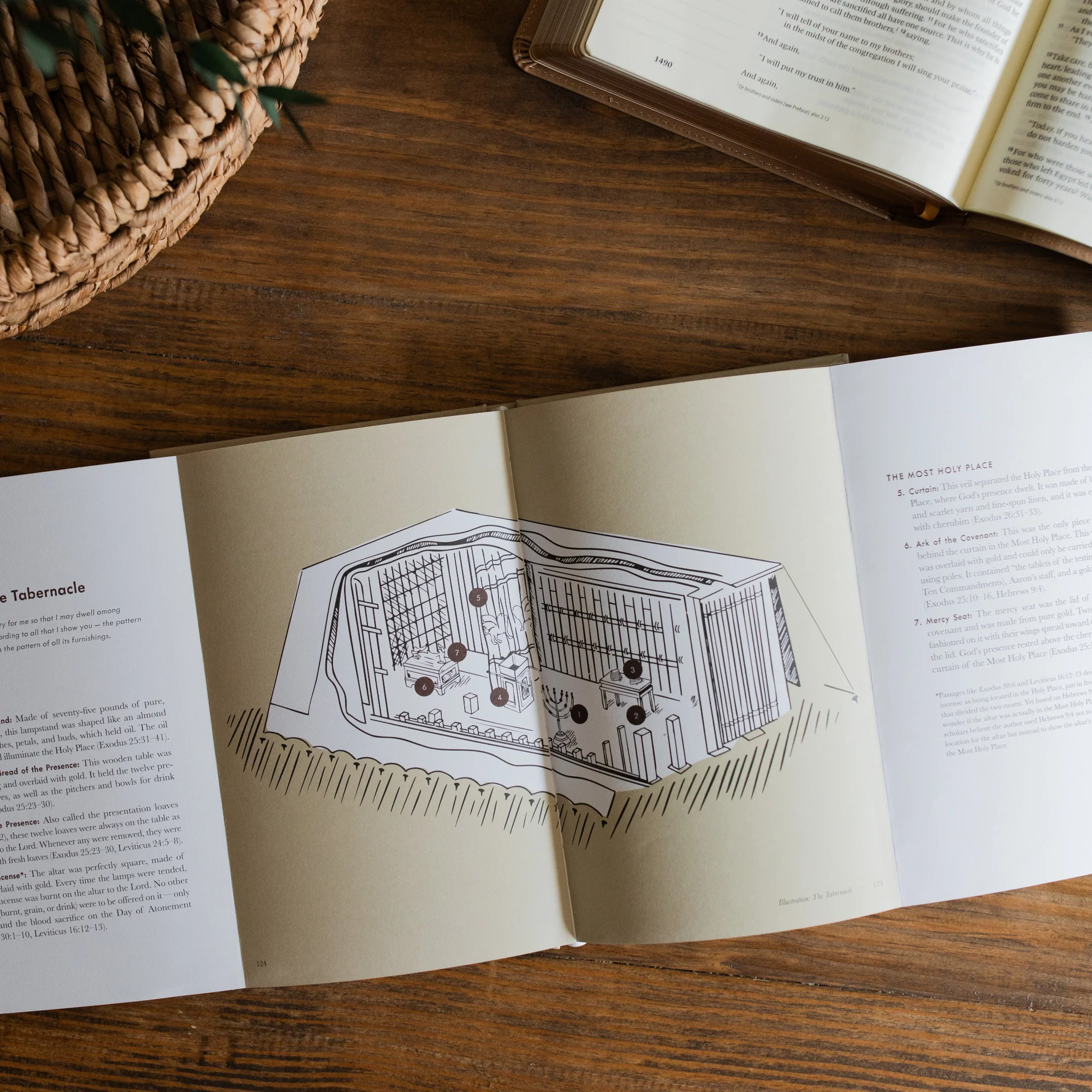 Jesus is Better Hebrews Bible Study - Hardcover - Image 7