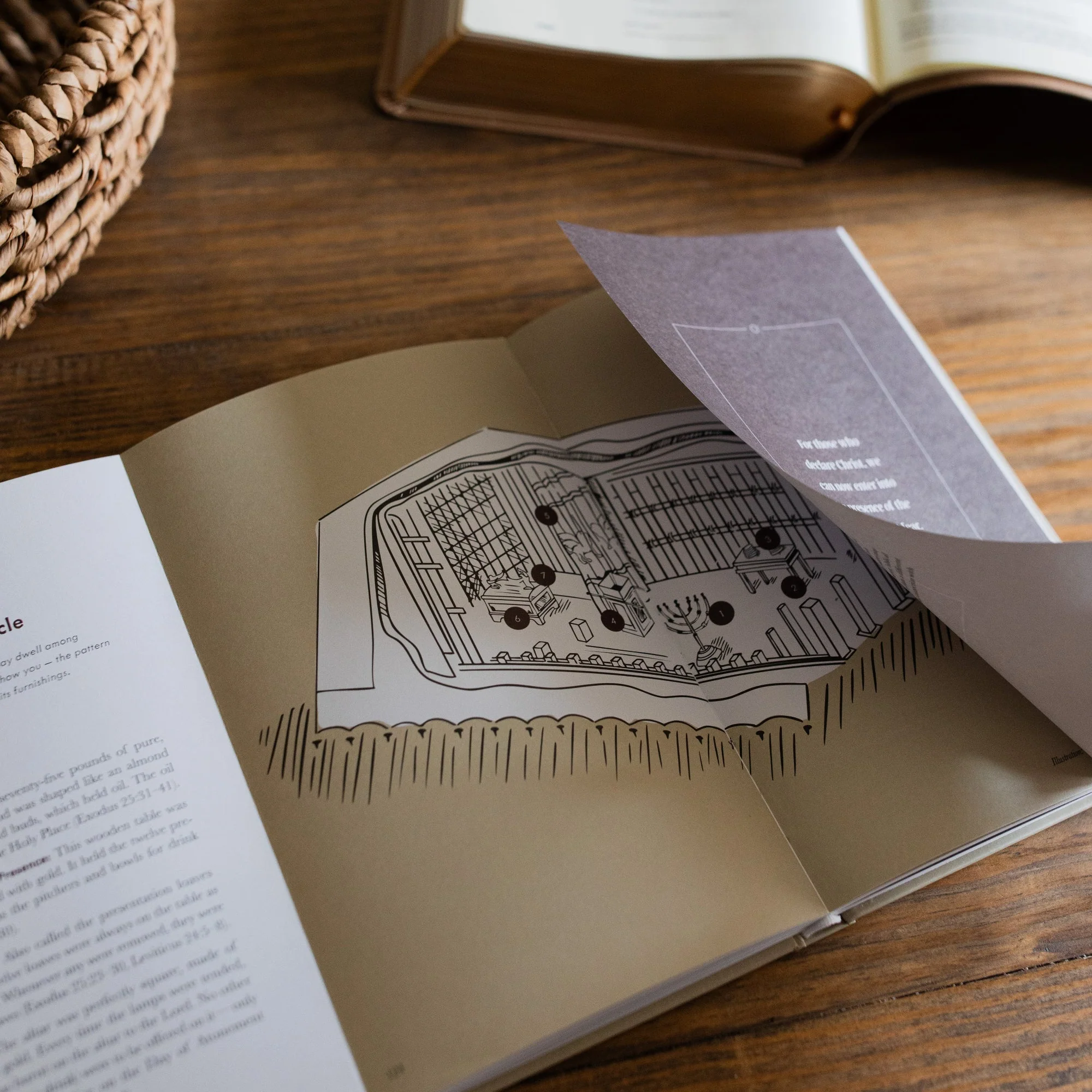 Jesus is Better Hebrews Bible Study - Hardcover - Image 8
