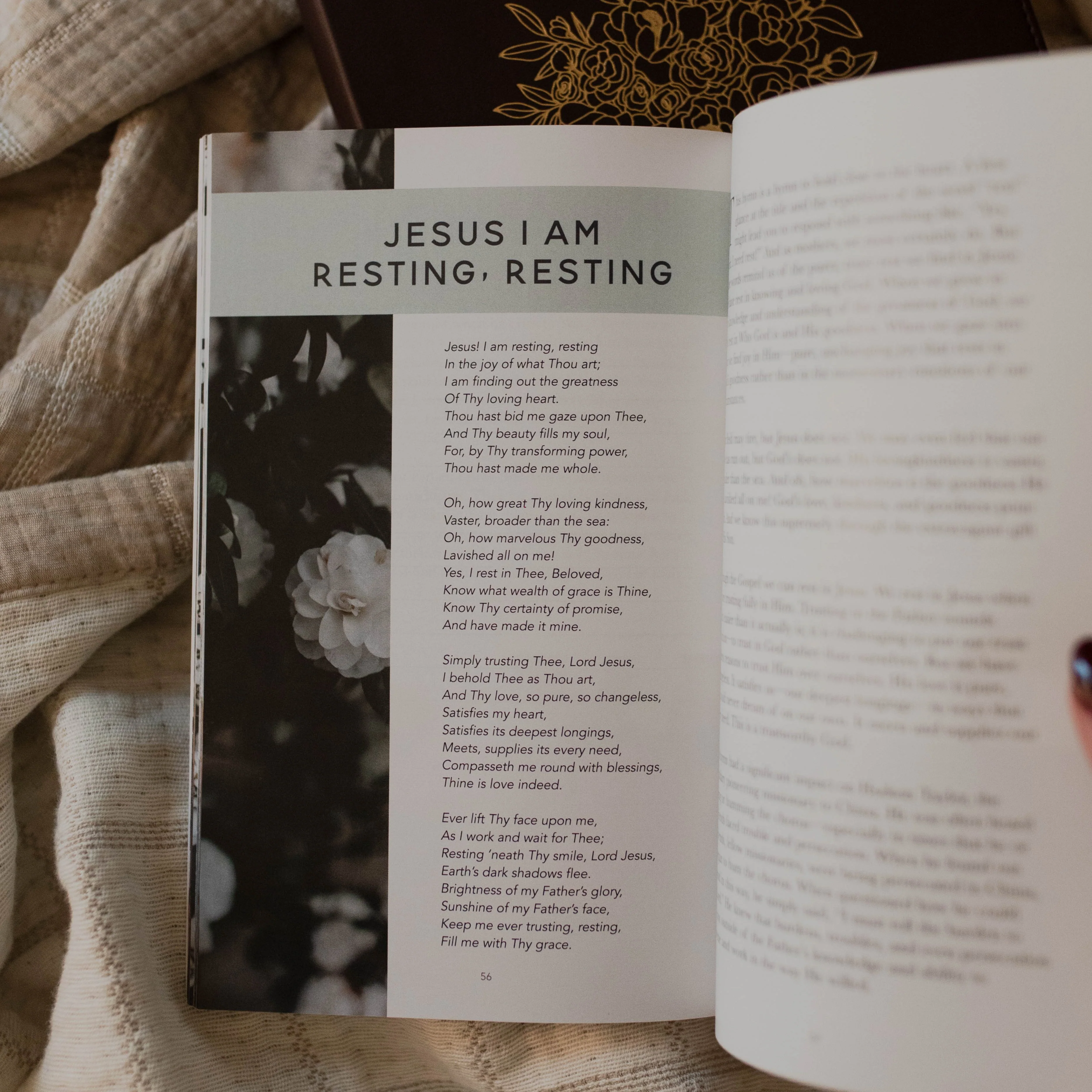 Hymns For A Mother's Heart - Image 3