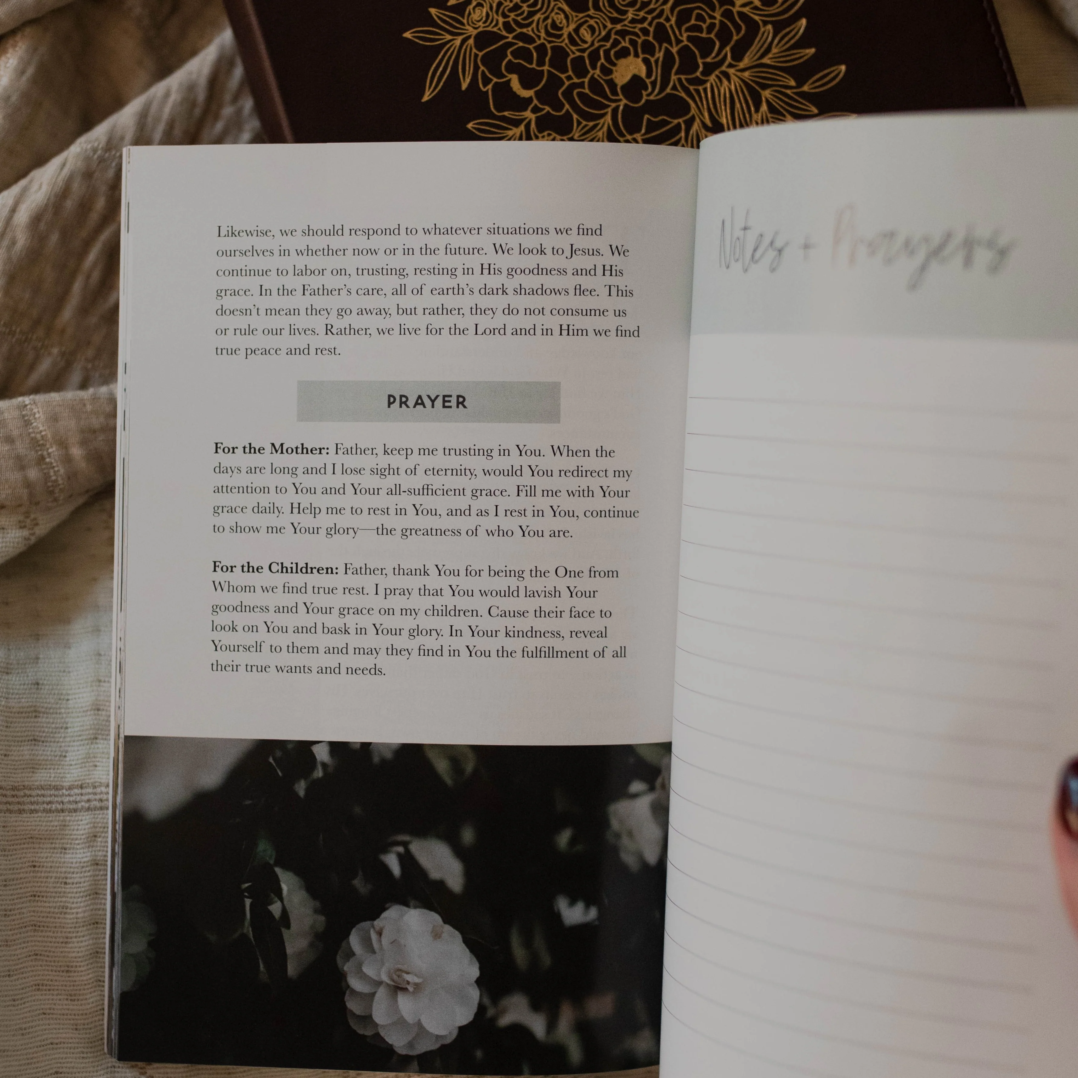 Hymns For A Mother's Heart - Image 4