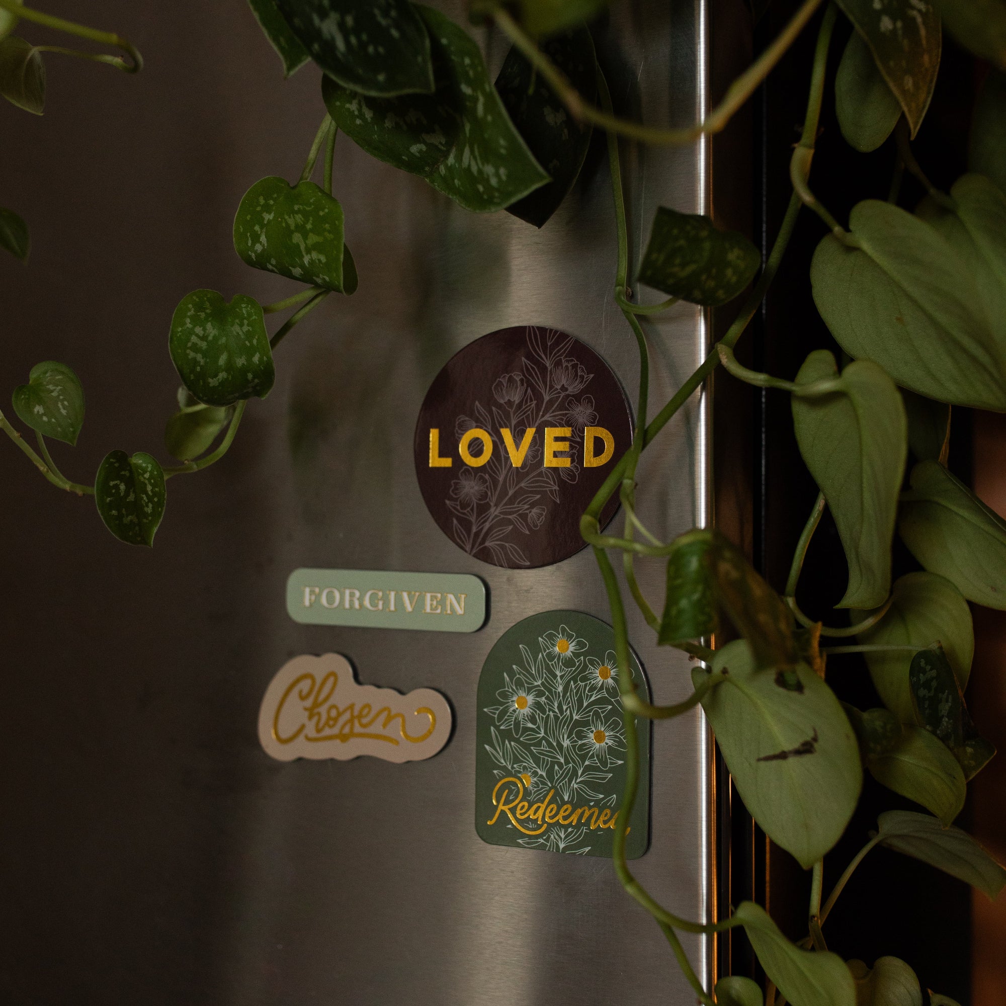 Identity Magnet Set - Image 6