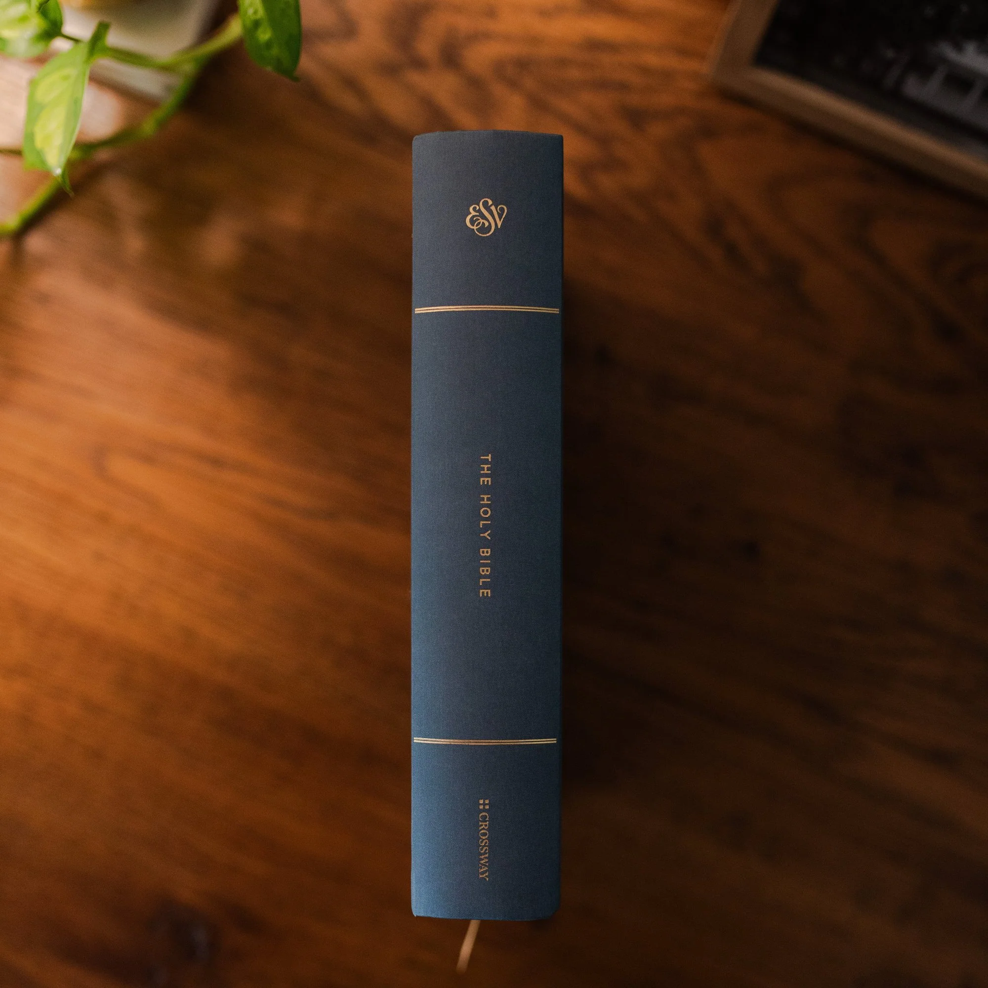 ESV Large Print Single Column Journaling Bible | Lantana - Image 2