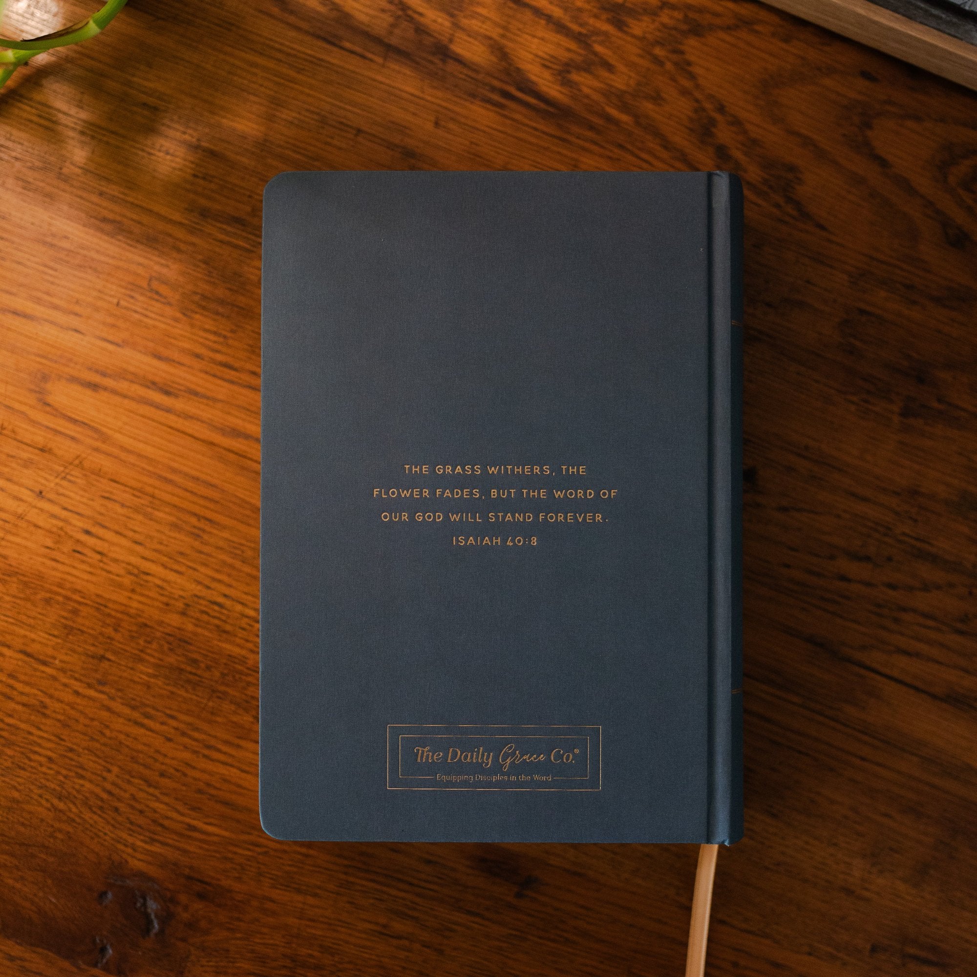 ESV Large Print Single Column Journaling Bible | Lantana - Image 3