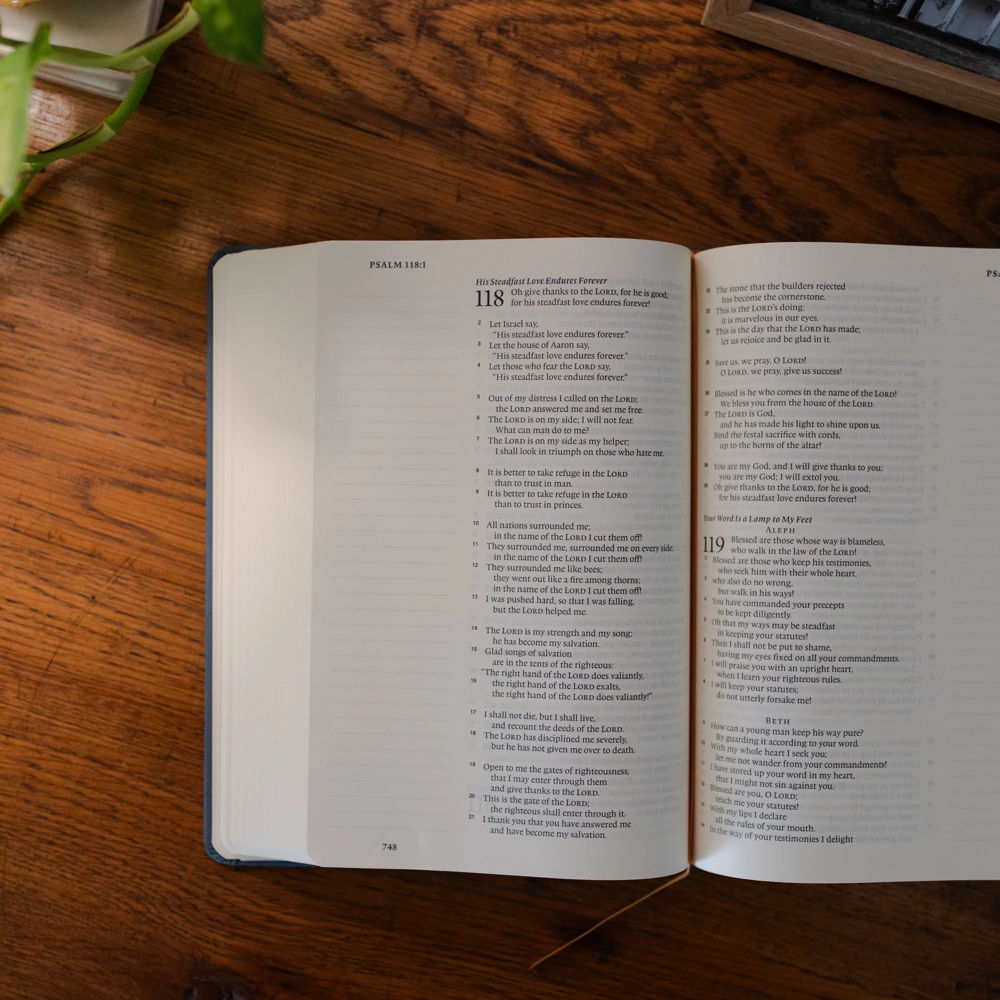 ESV Large Print Single Column Journaling Bible | Lantana - Image 4