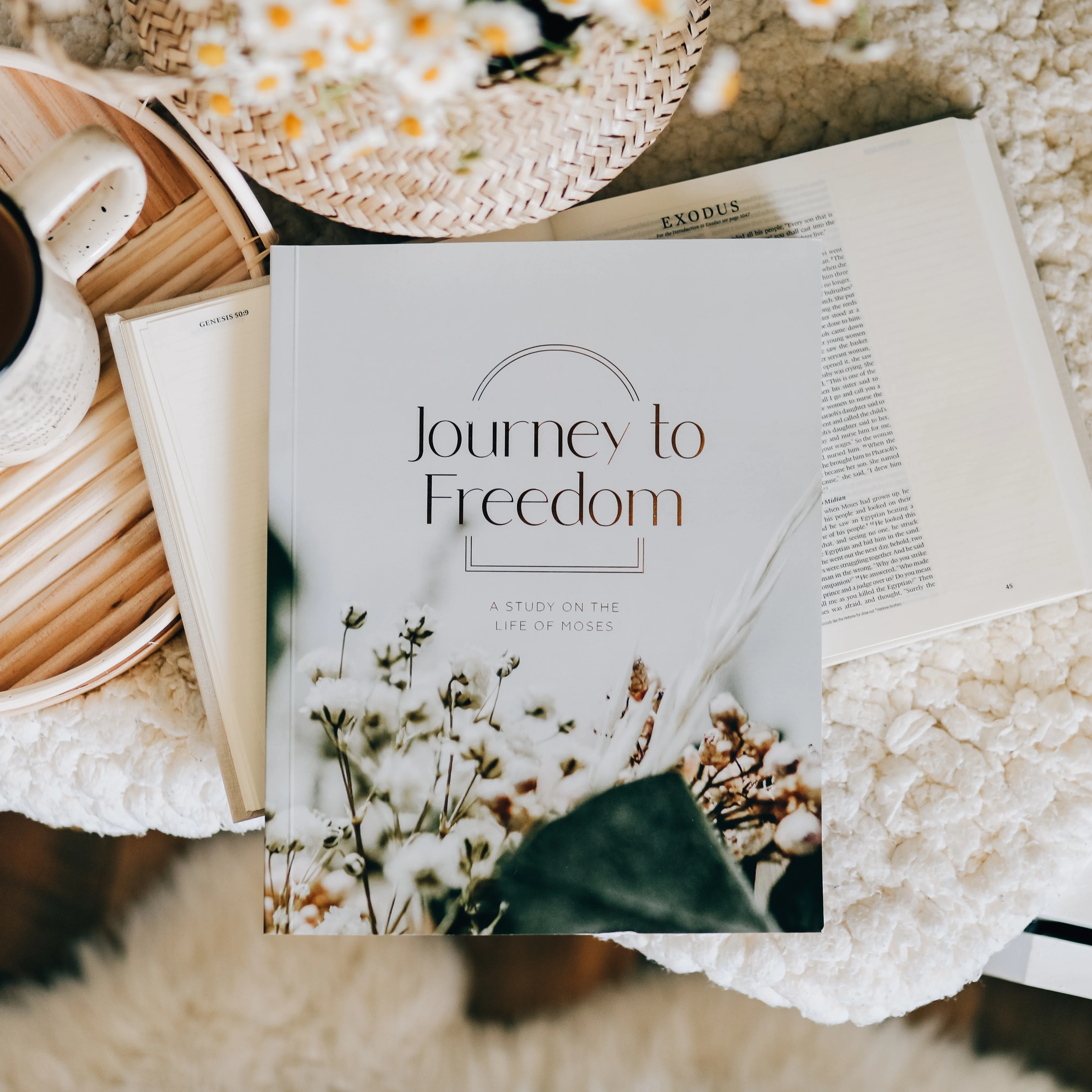 Journey to Freedom | Bible Study on the Life of Moses - Image 10