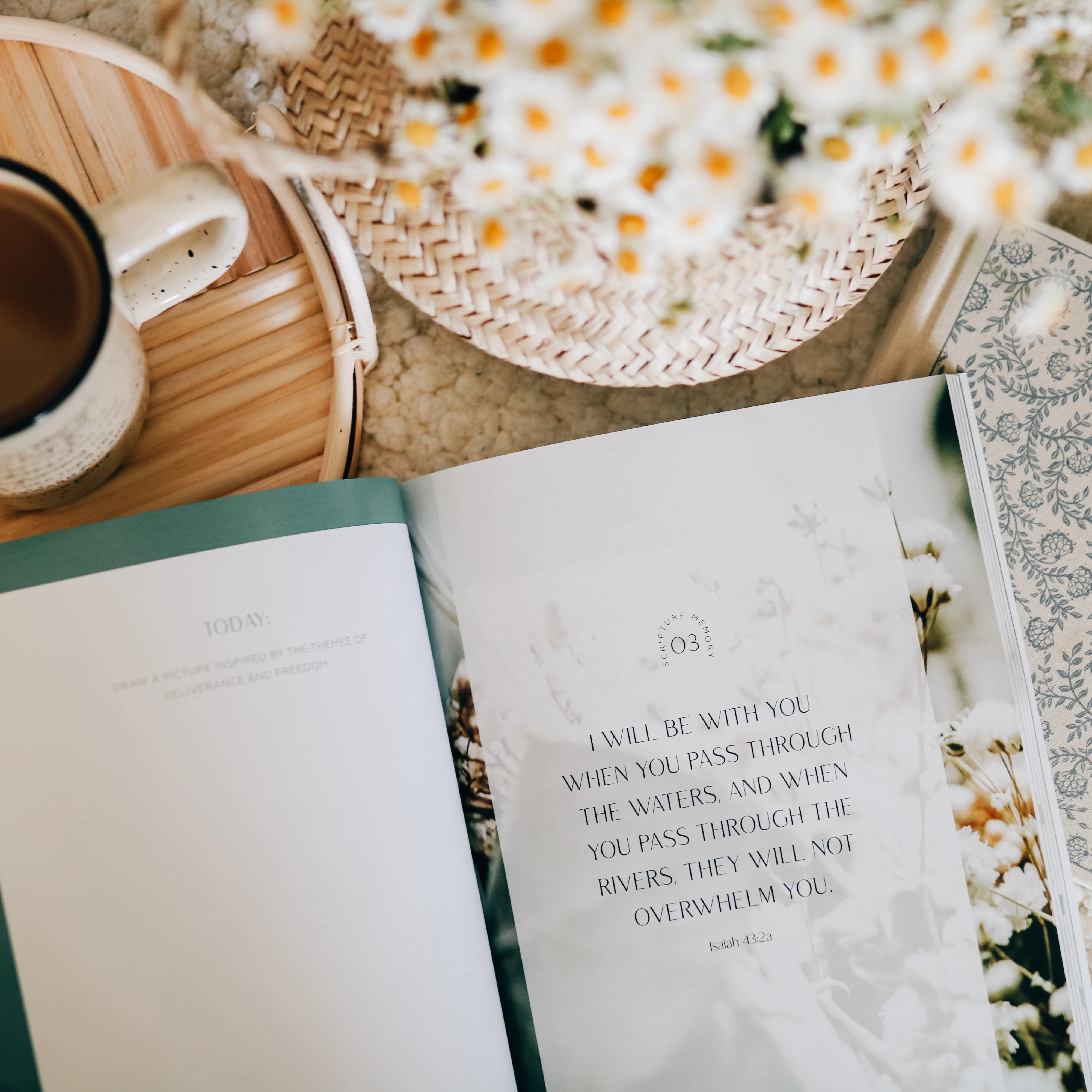 Journey to Freedom | Bible Study on the Life of Moses - Image 12
