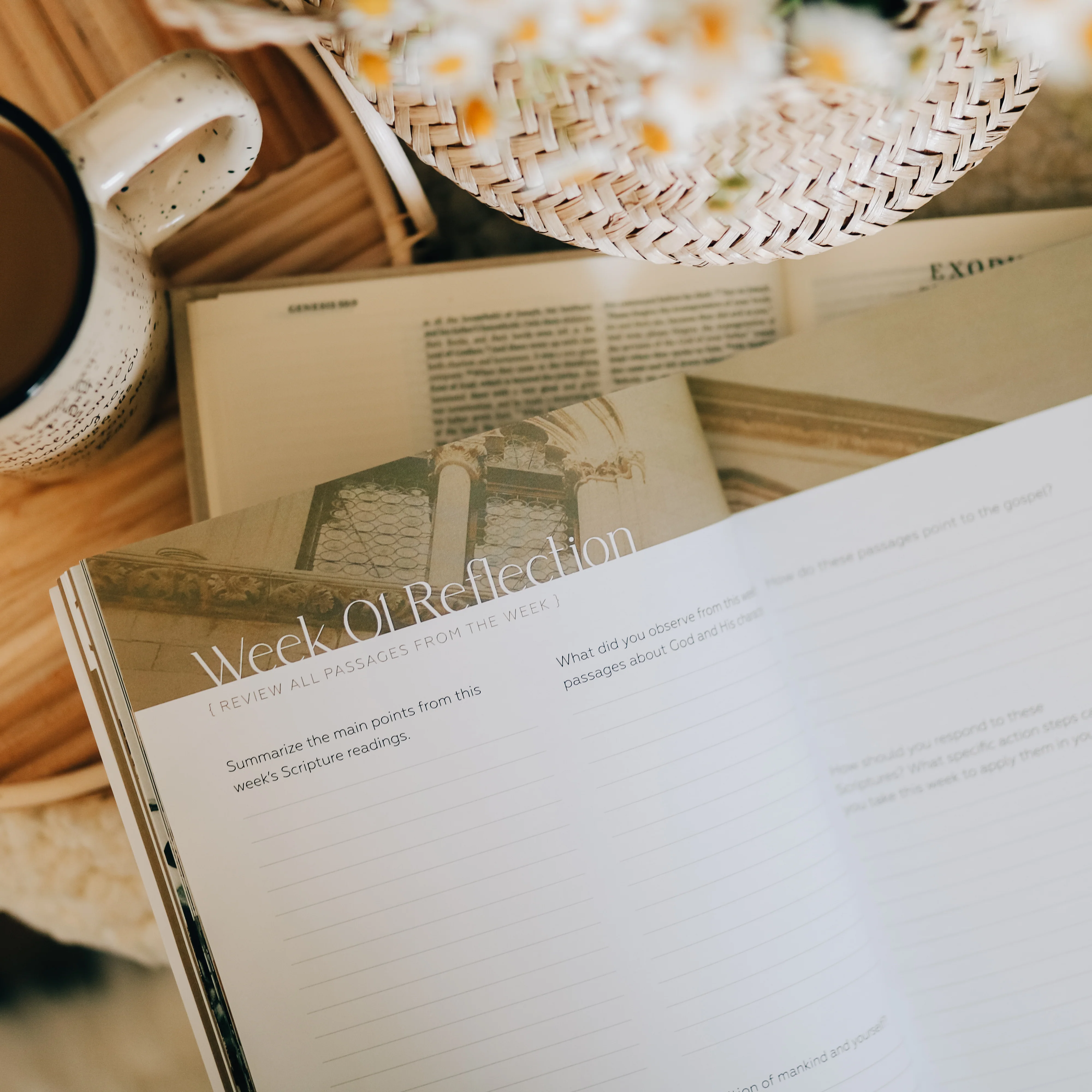 Journey to Freedom | Bible Study on the Life of Moses - Image 4
