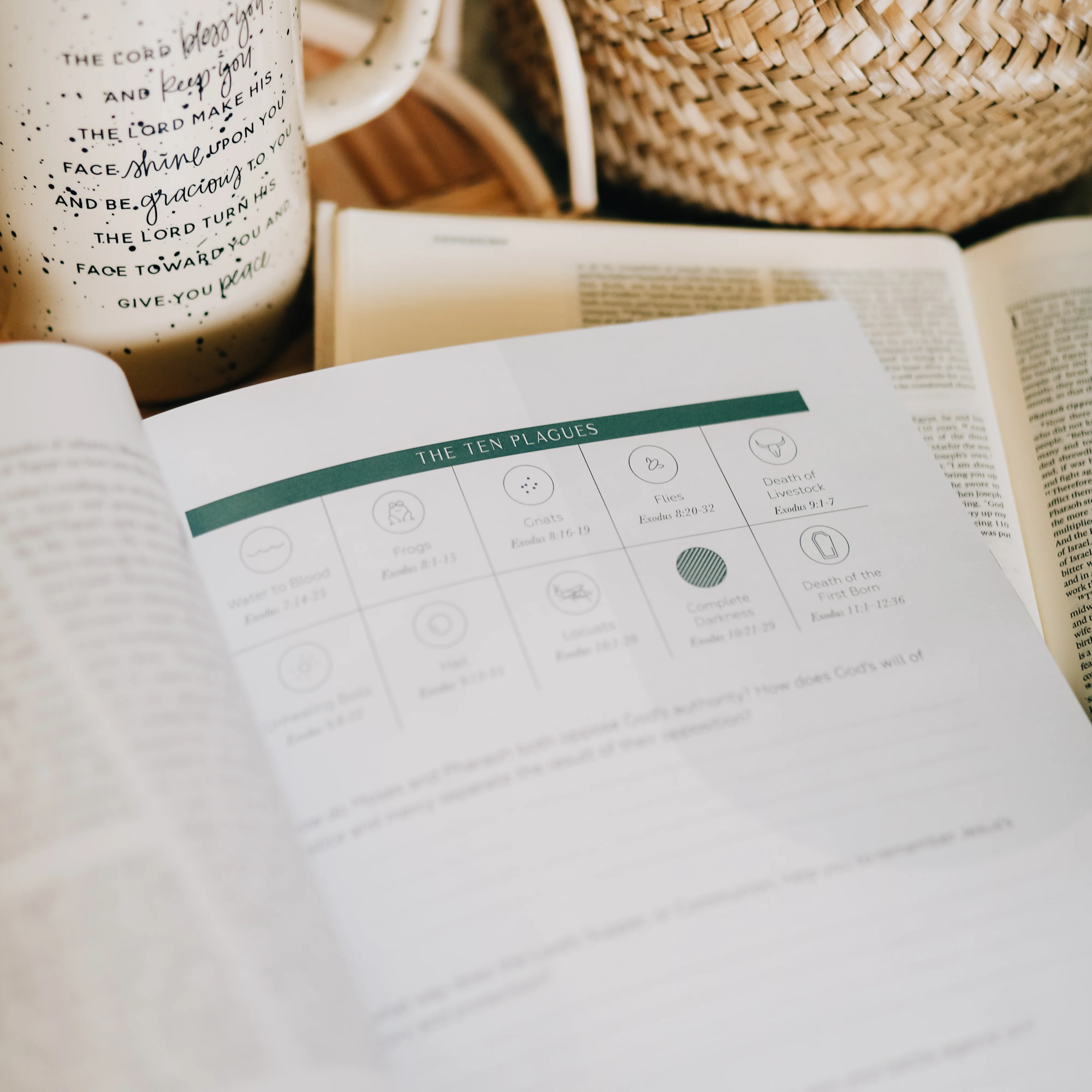 Journey to Freedom | Bible Study on the Life of Moses - Image 5
