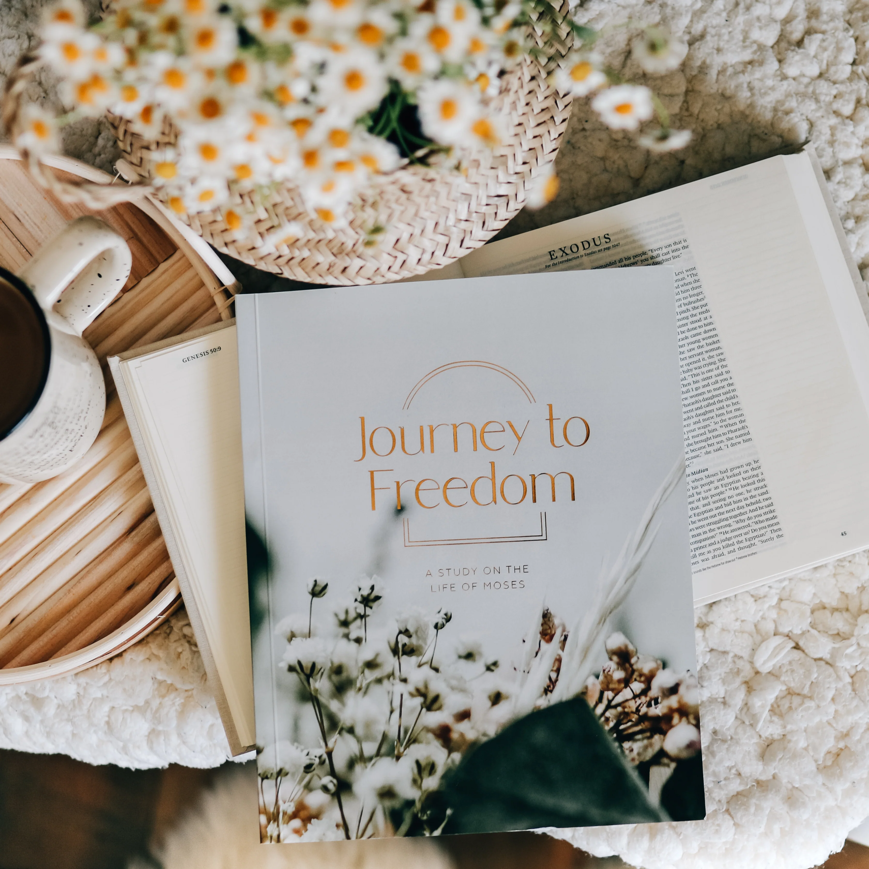 Journey to Freedom | Bible Study on the Life of Moses - Image 6