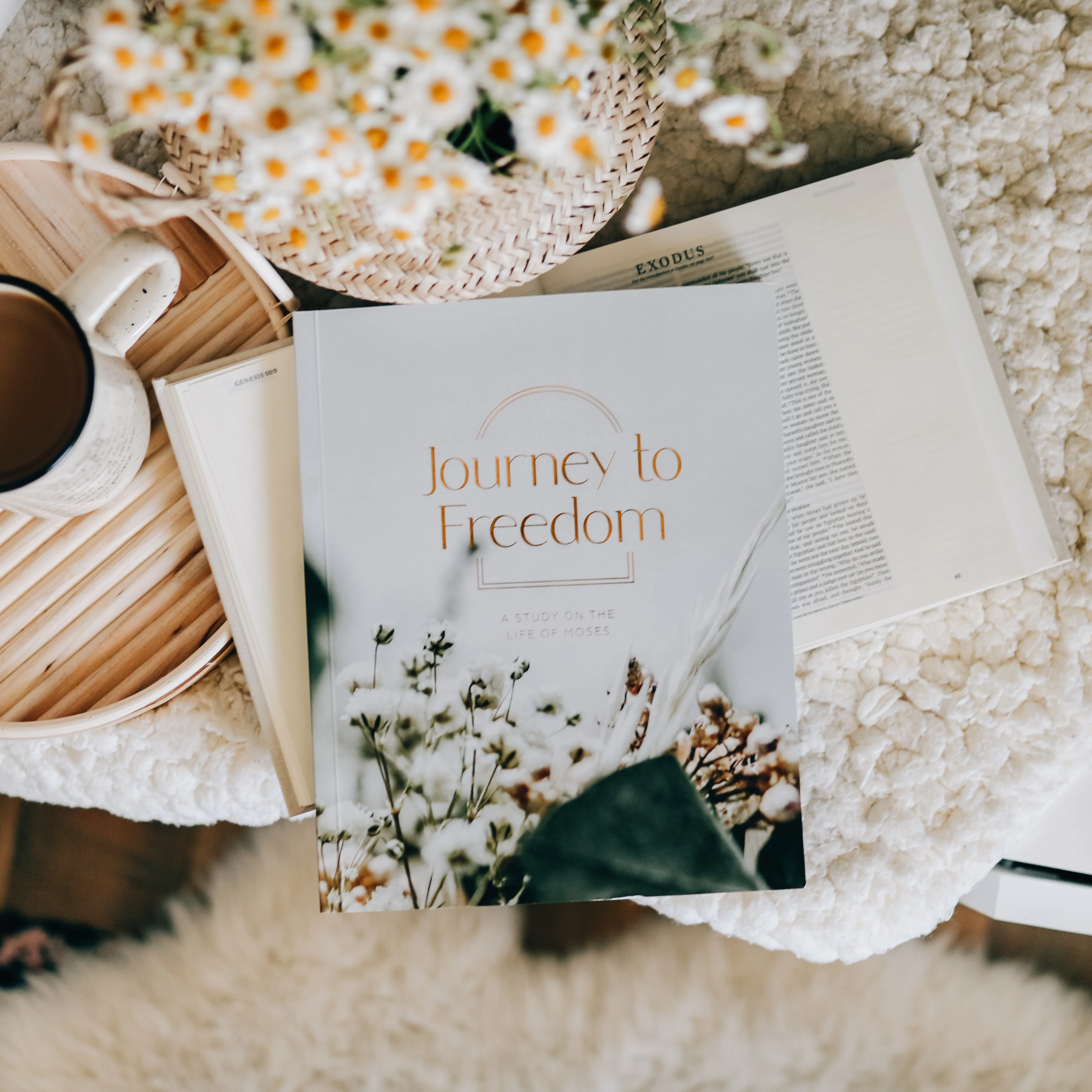 Journey to Freedom | Bible Study on the Life of Moses - Image 7