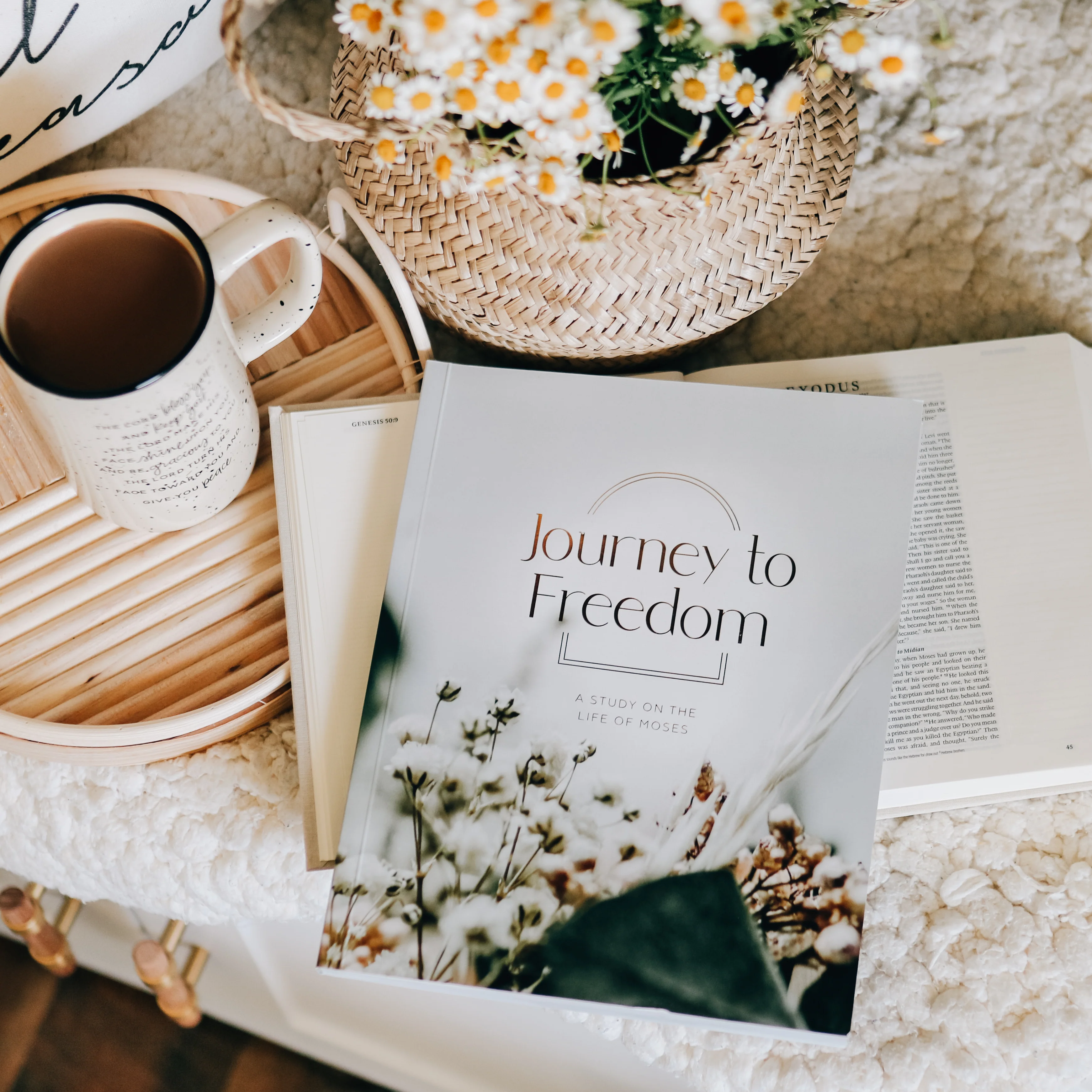 Journey to Freedom | Bible Study on the Life of Moses - Image 8