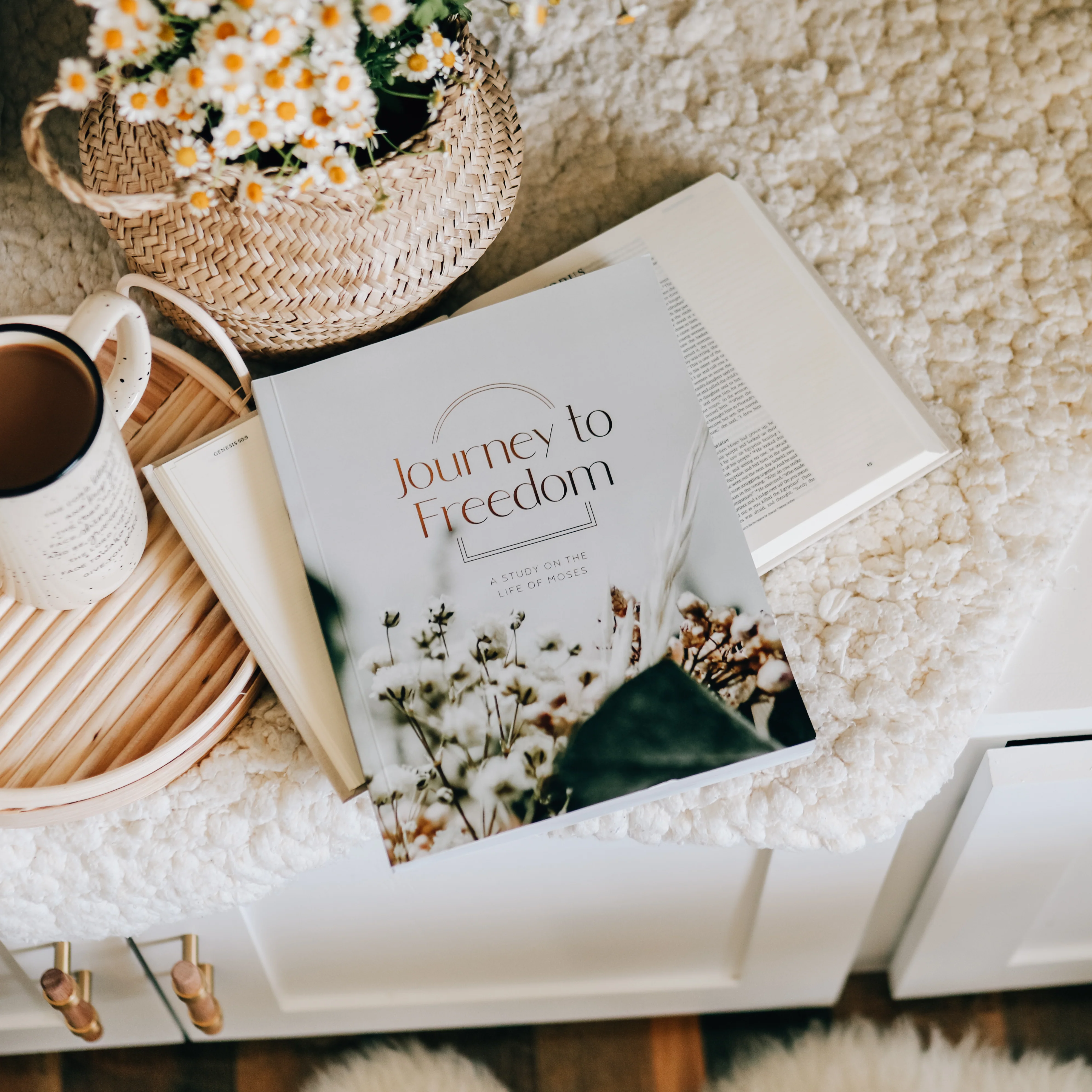 Journey to Freedom | Bible Study on the Life of Moses - Image 9