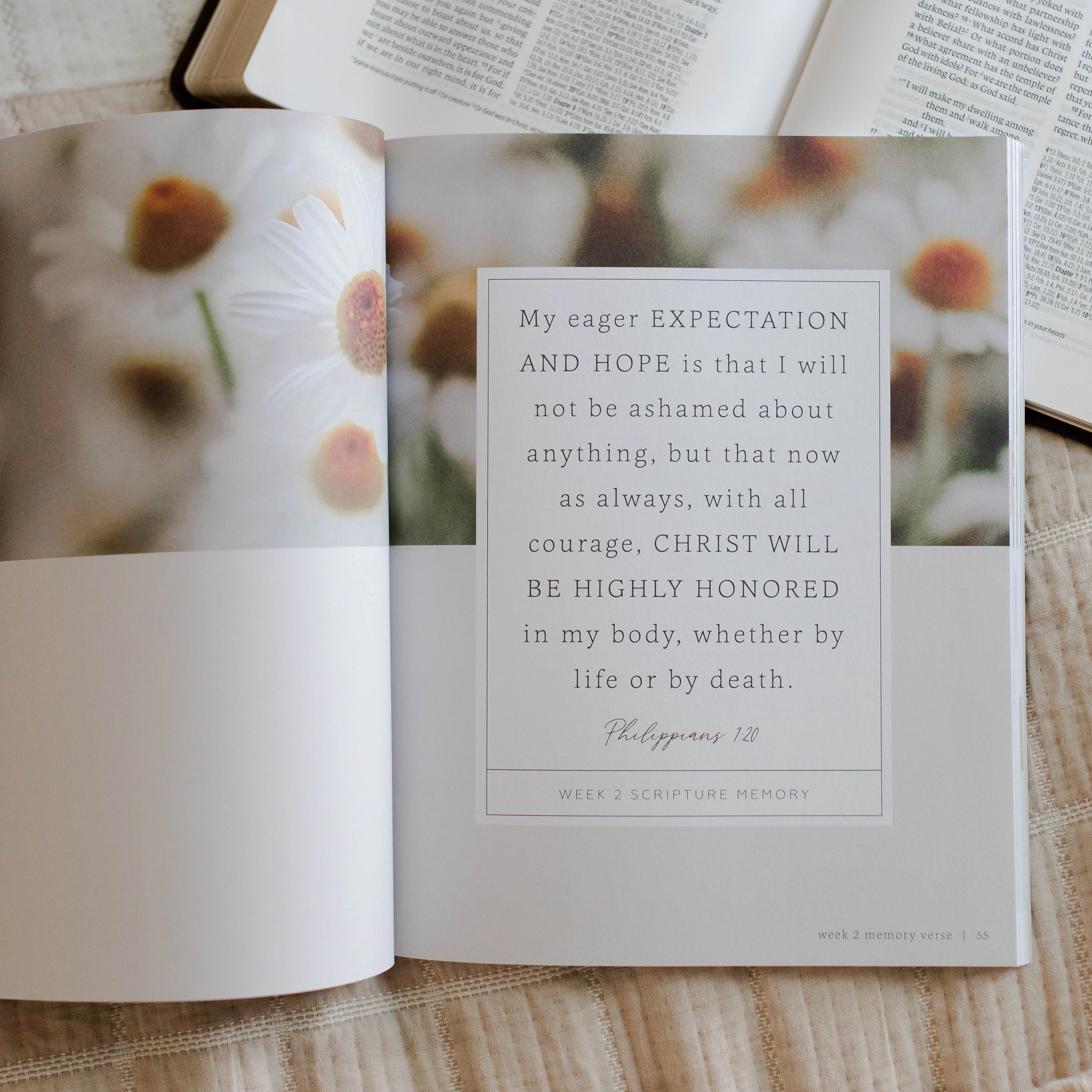 More Than Anything | Bible Study on Idolatry - Image 3