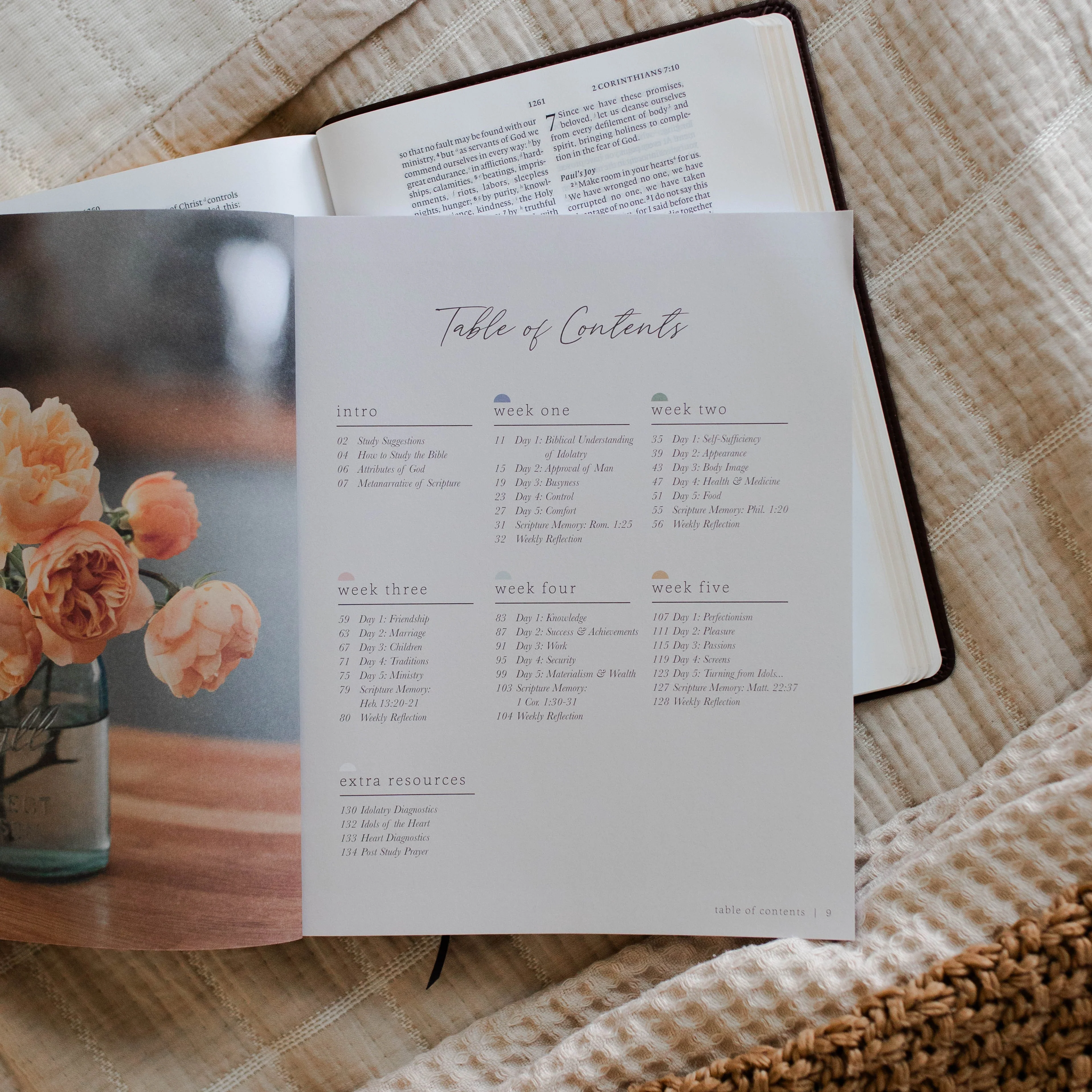 More Than Anything | Bible Study on Idolatry - Image 8