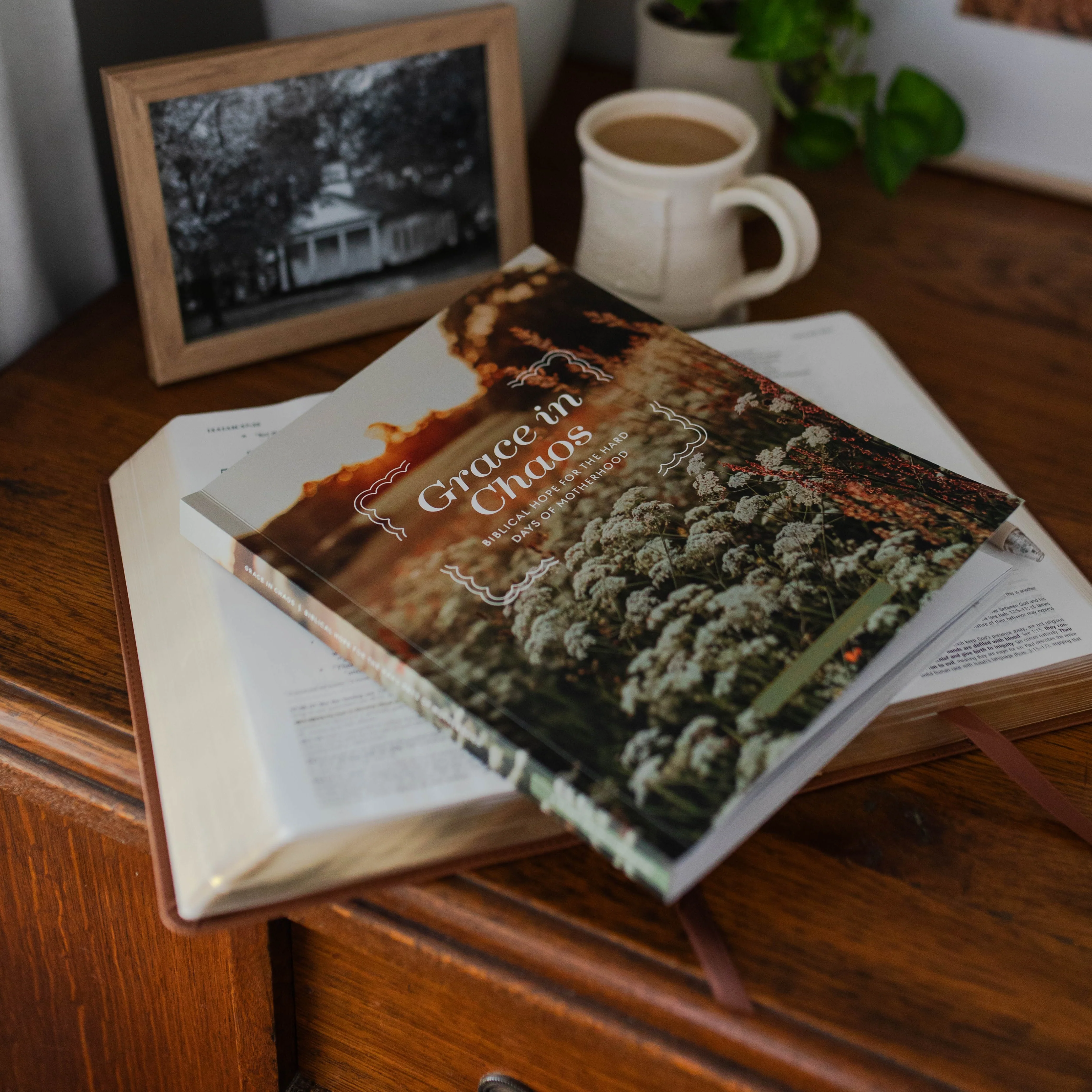 Grace in Chaos | Motherhood Bible Study - Image 4