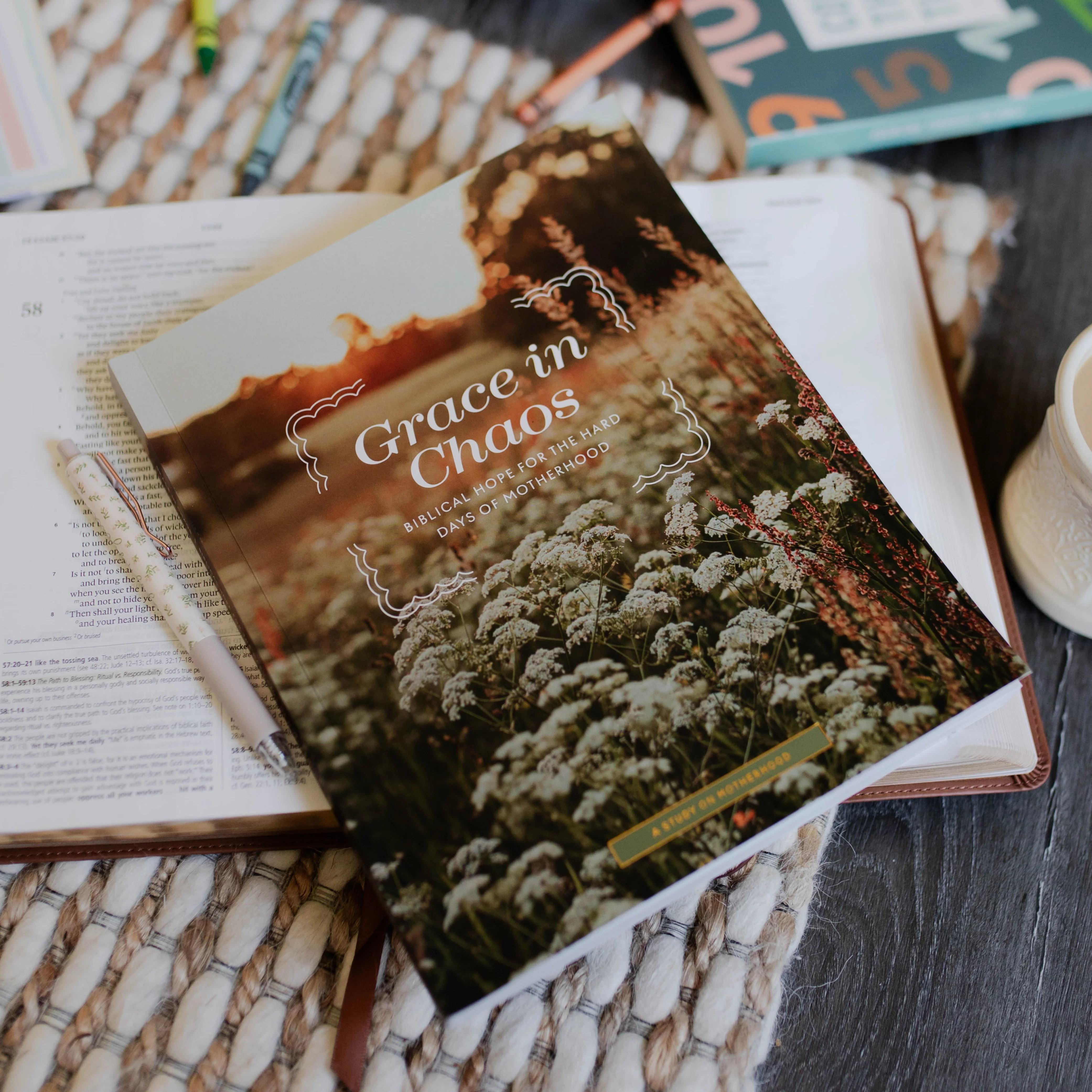 Grace in Chaos | Motherhood Bible Study - Image 5