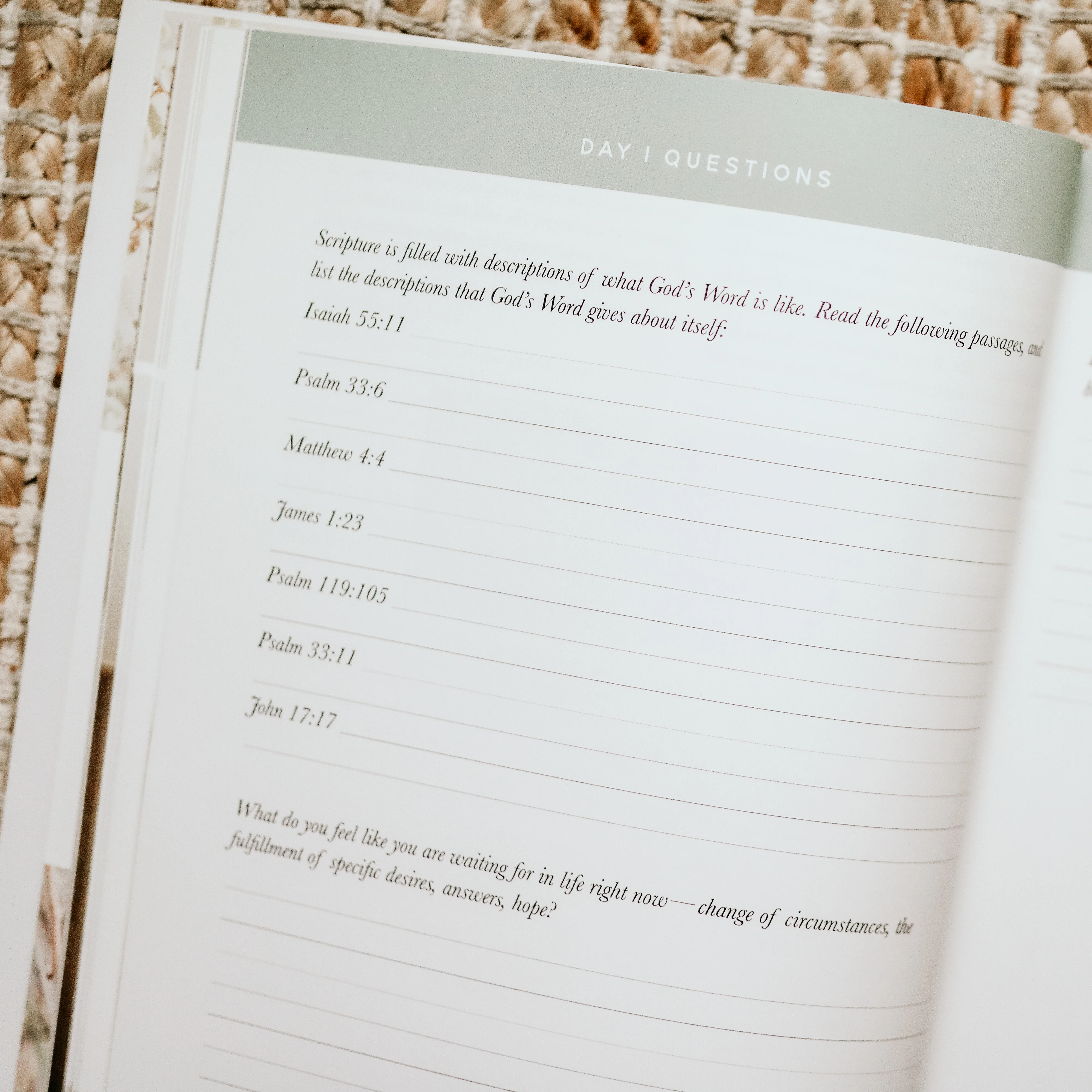 Never Alone Bible Study - Image 4