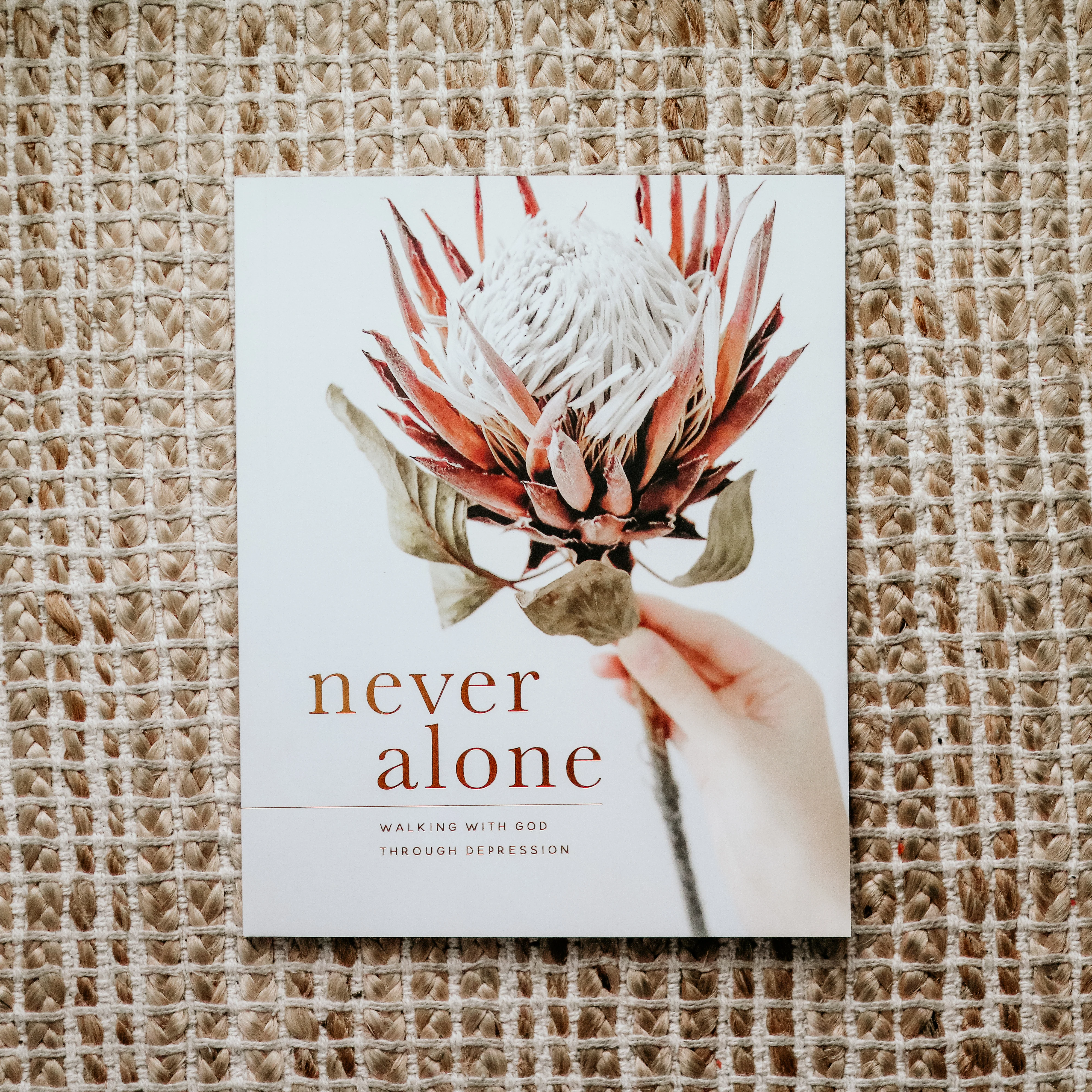 Never Alone Bible Study - Image 5