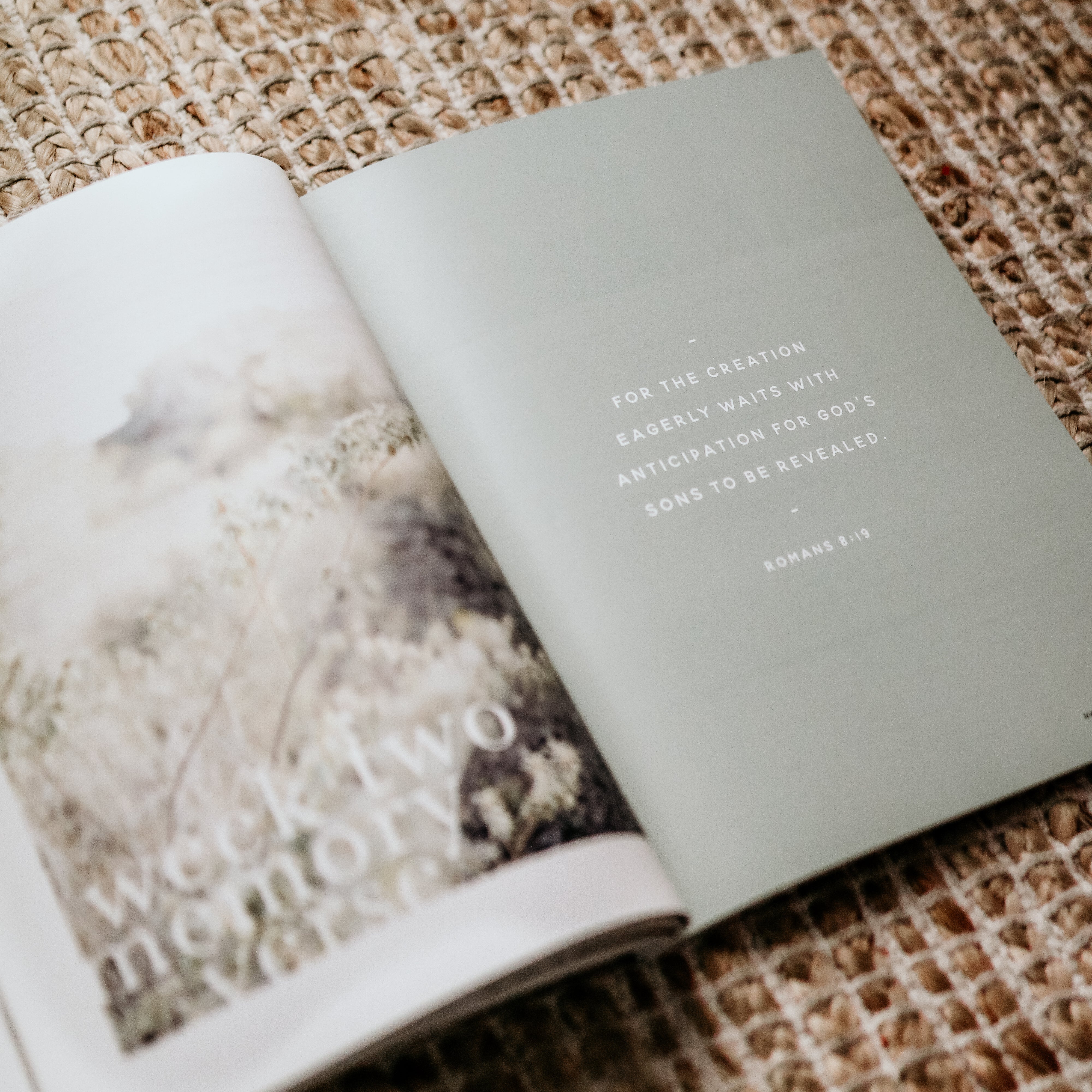 Never Alone Bible Study - Image 6