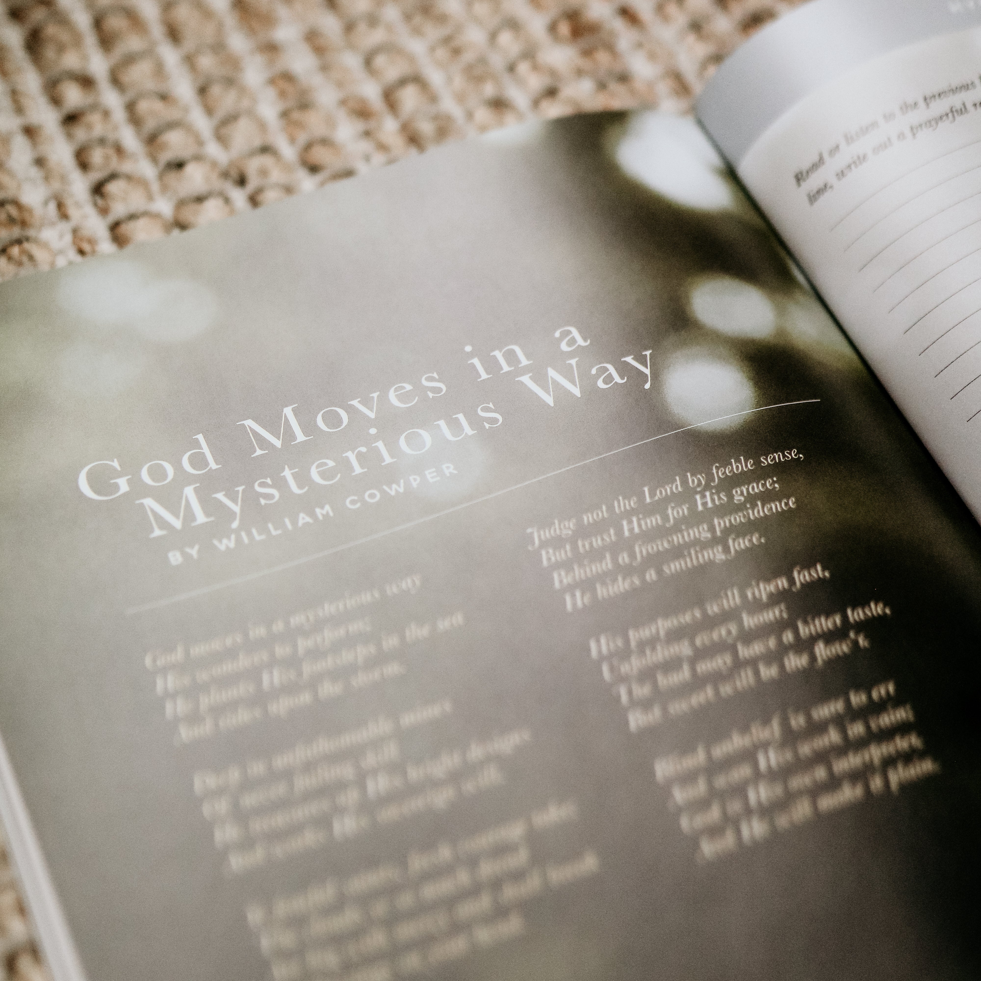 Never Alone Bible Study - Image 8