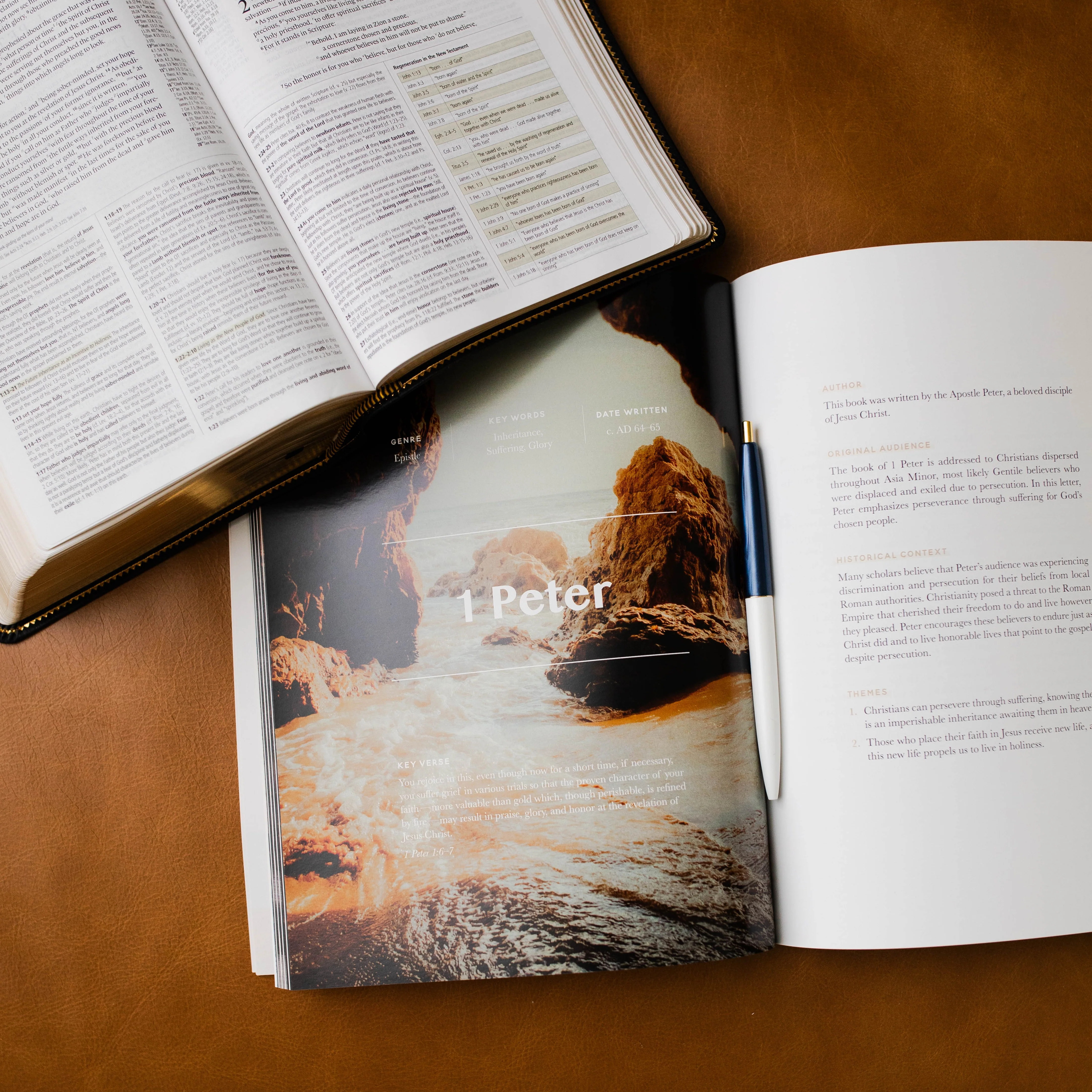 Behold: A Study of the New Testament | Volume 4 | Philemon - Revelation - Men - Image 2