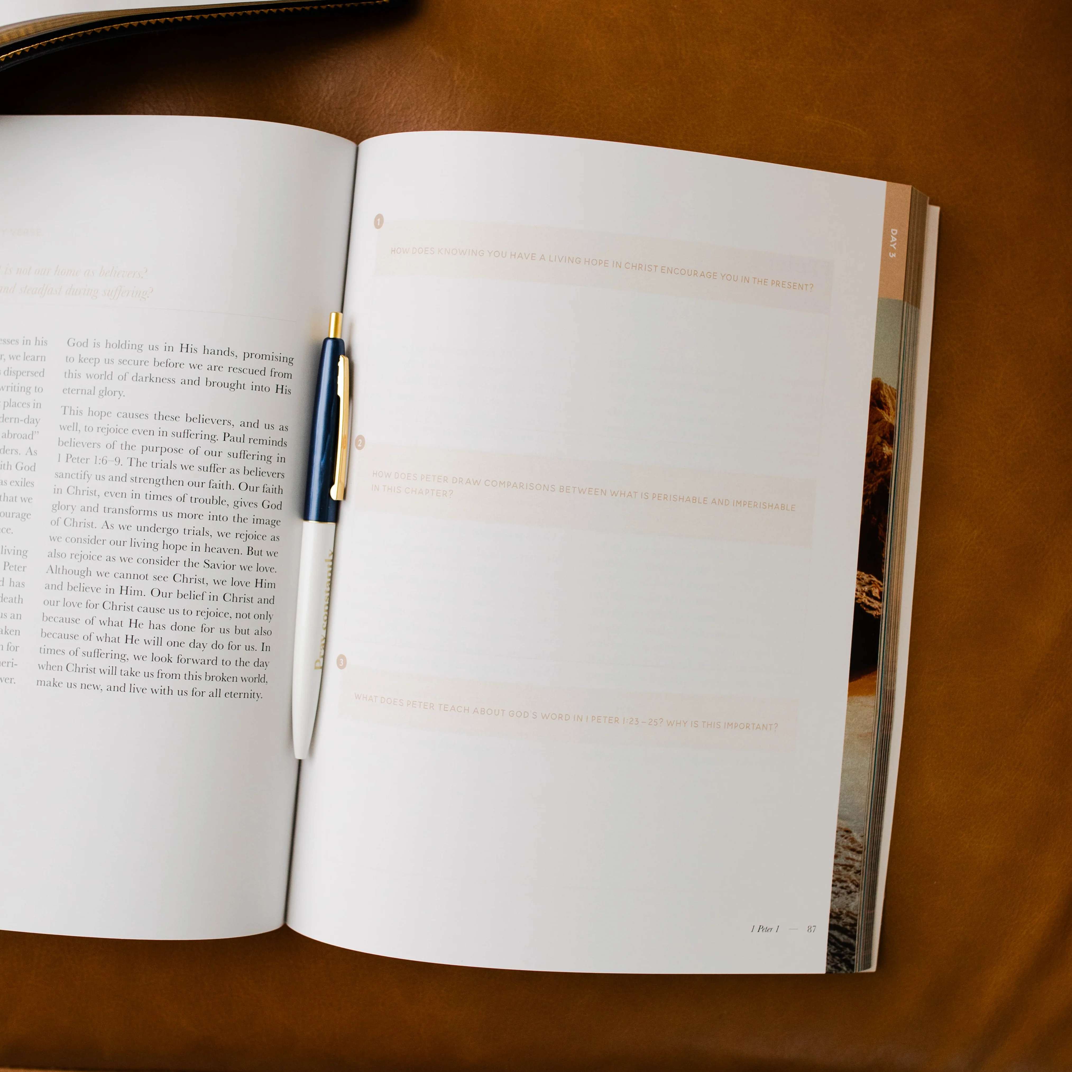 Behold: A Study of the New Testament | Volume 4 | Philemon - Revelation - Men - Image 4