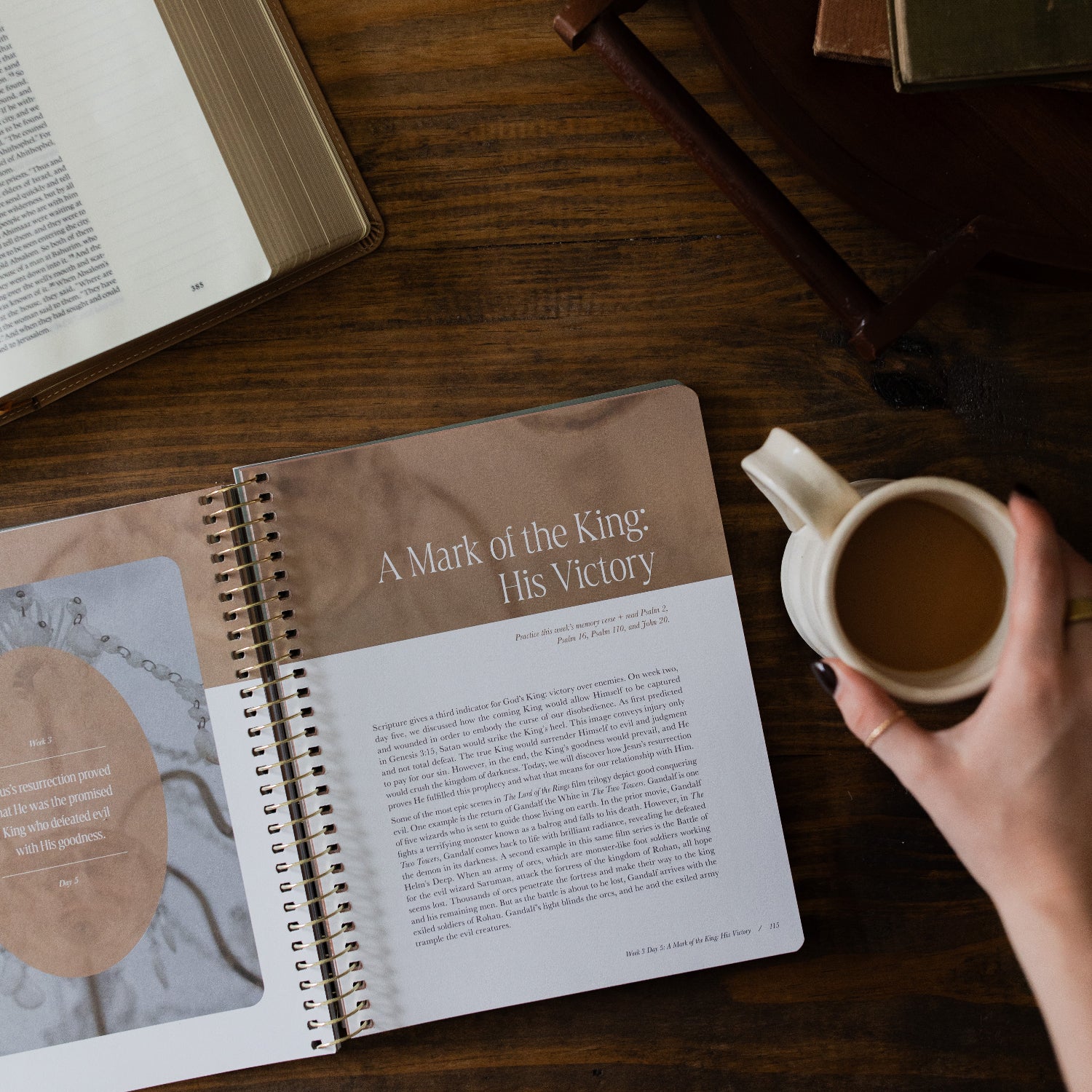 Peaks and Valleys | A Study on the Life of David - Image 11