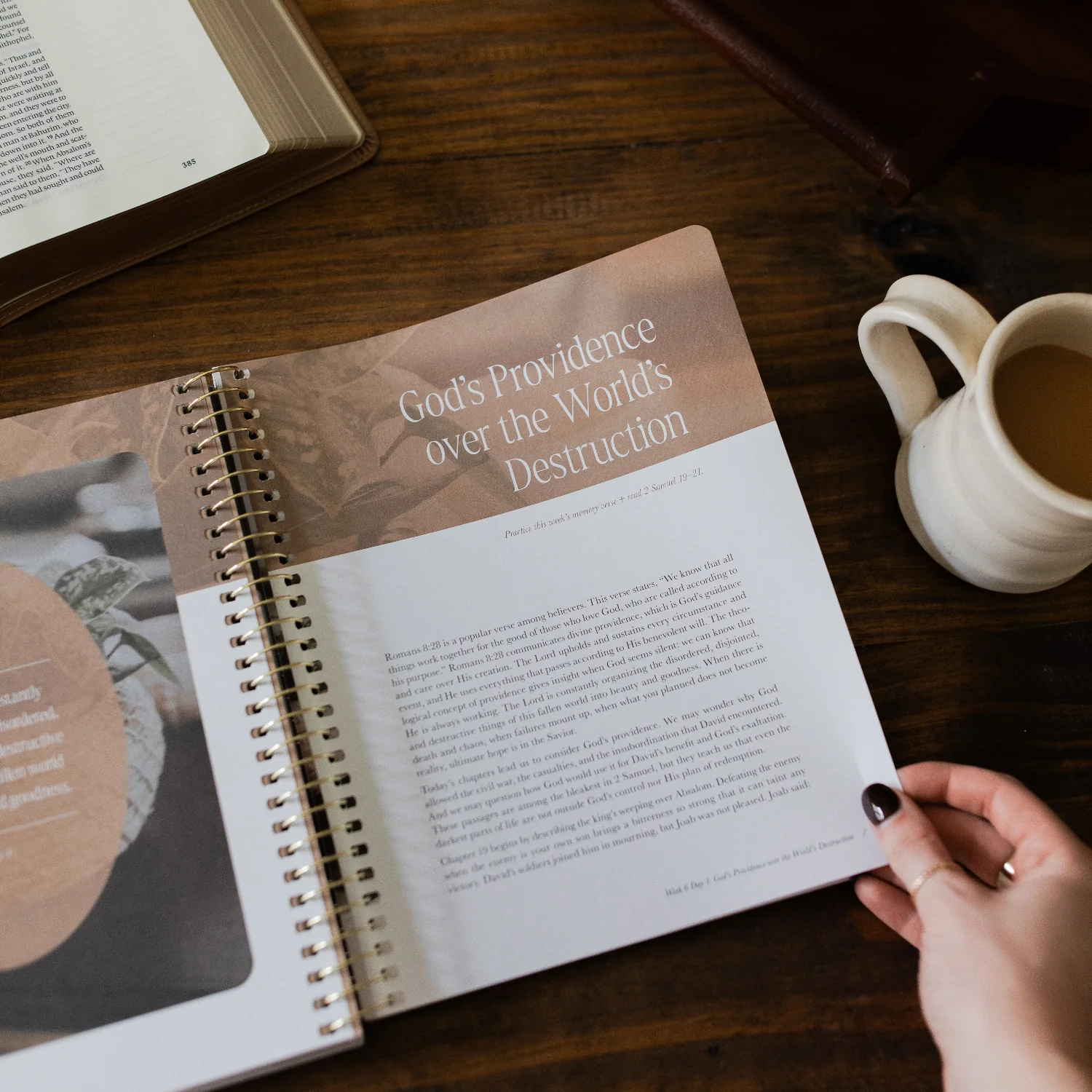Peaks and Valleys | A Study on the Life of David - Image 12