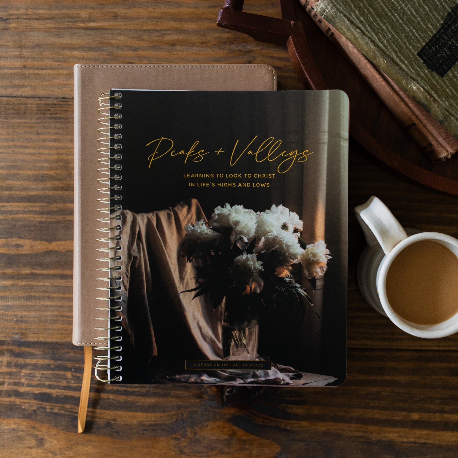 Peaks and Valleys | A Study on the Life of David - Image 13