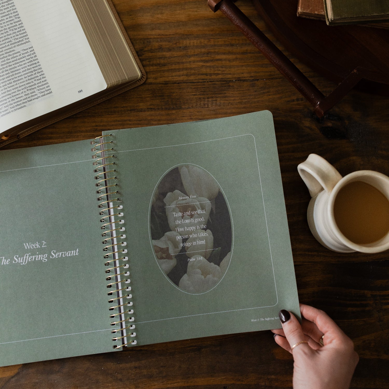Peaks and Valleys | A Study on the Life of David - Image 15