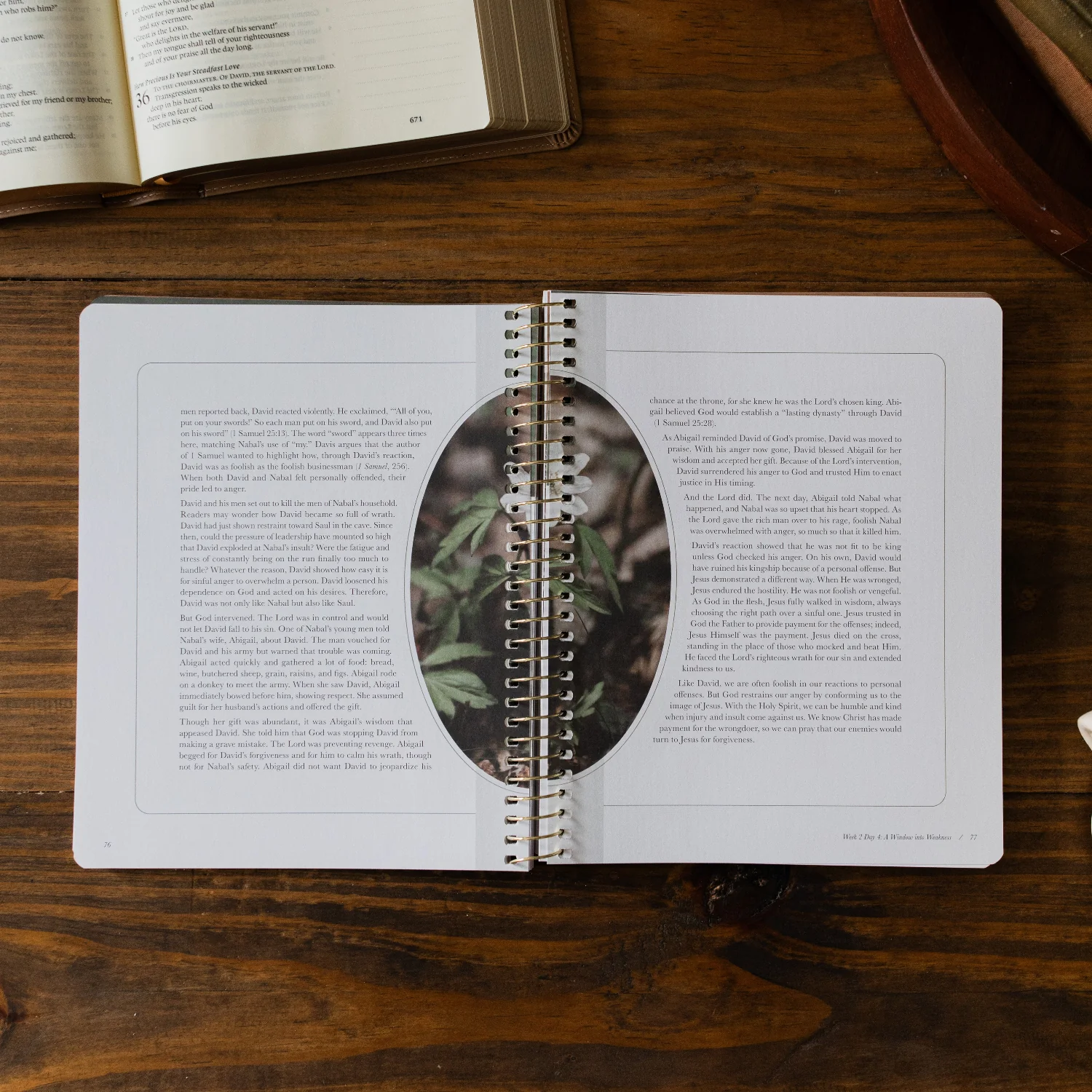 Peaks and Valleys | A Study on the Life of David - Image 4