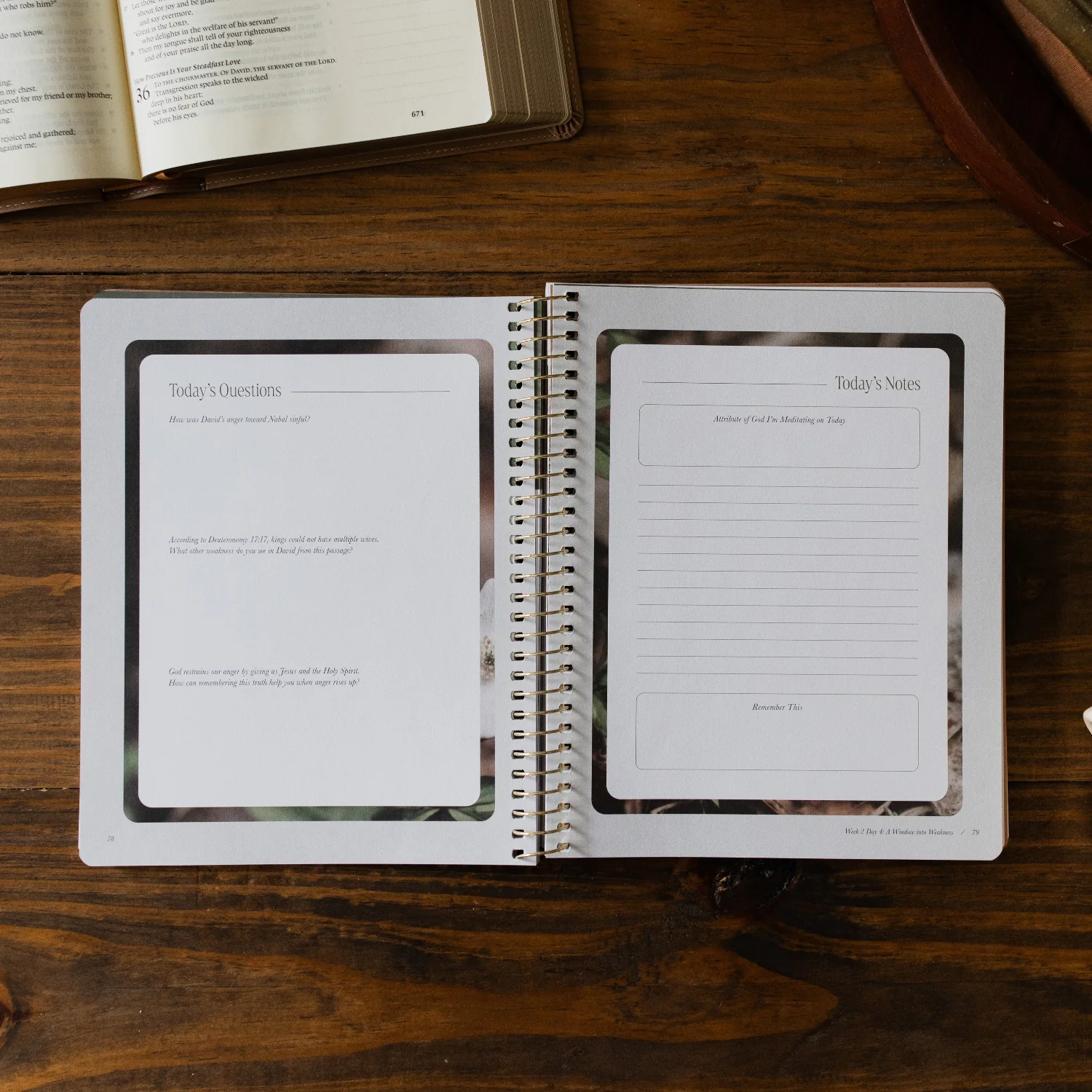 Peaks and Valleys | A Study on the Life of David - Image 5