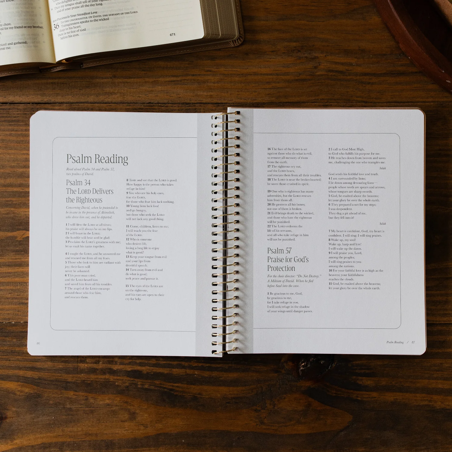 Peaks and Valleys | A Study on the Life of David - Image 6