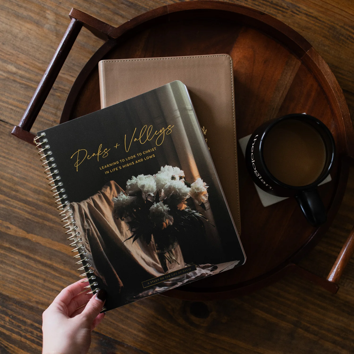 Peaks and Valleys | A Study on the Life of David - Image 7