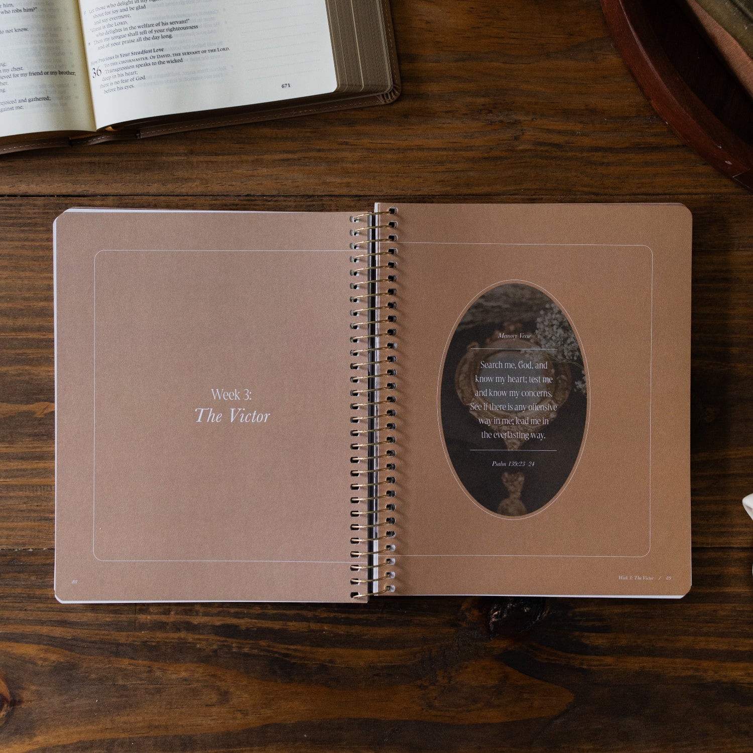 Peaks and Valleys | A Study on the Life of David - Image 8
