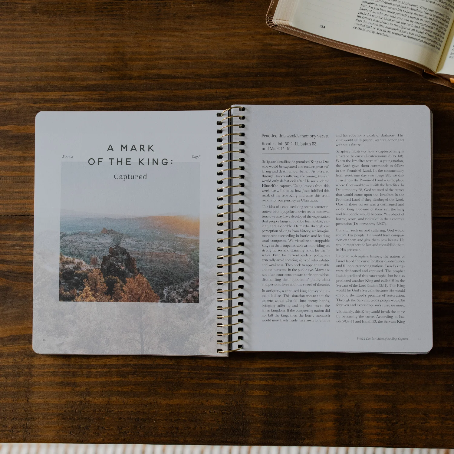 Peaks and Valleys | A Study on the Life of David - Men - Image 3