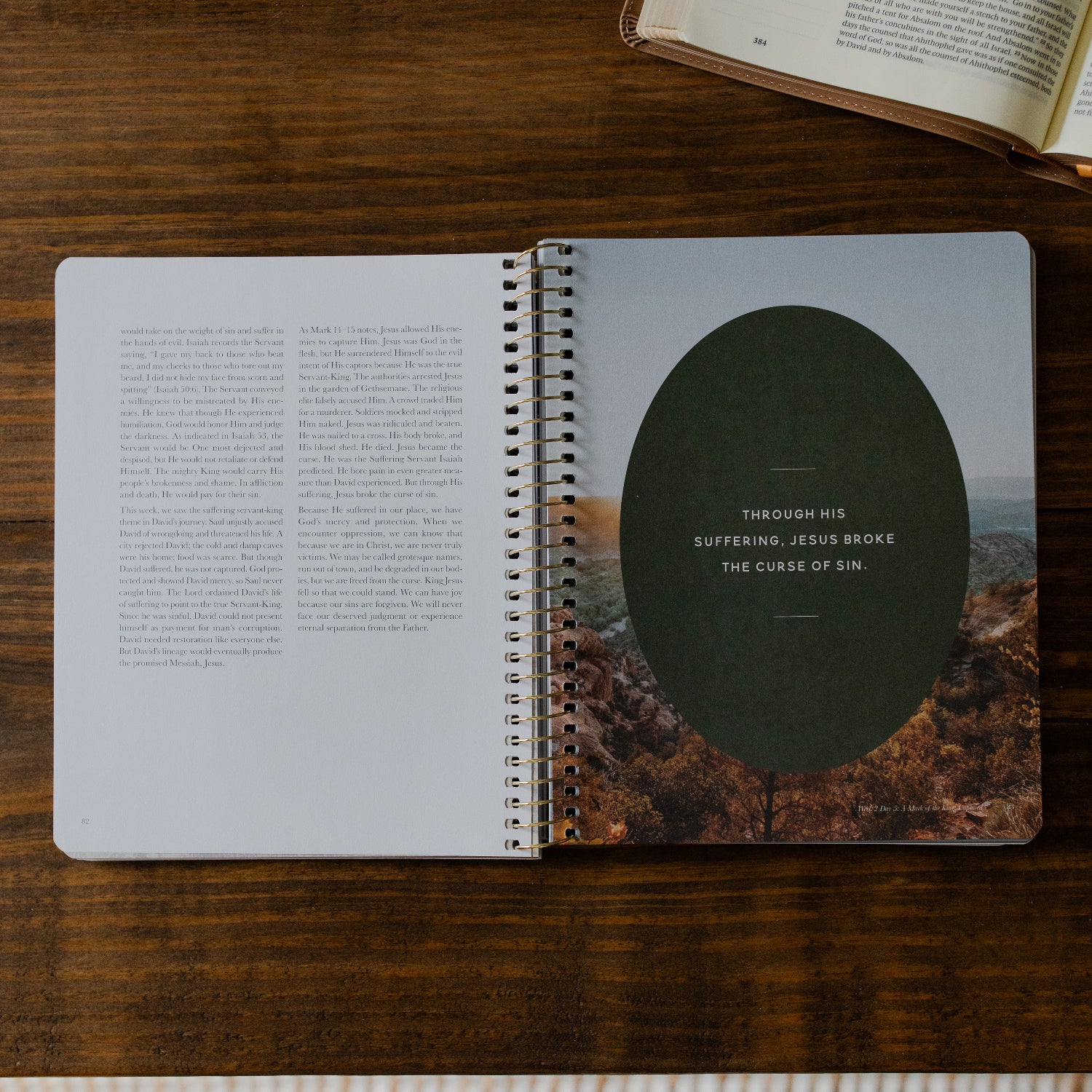 Peaks and Valleys | A Study on the Life of David - Men - Image 7