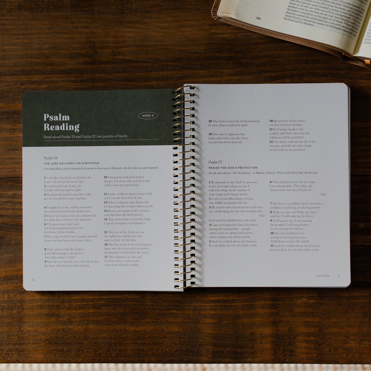 Peaks and Valleys | A Study on the Life of David - Men - Image 8