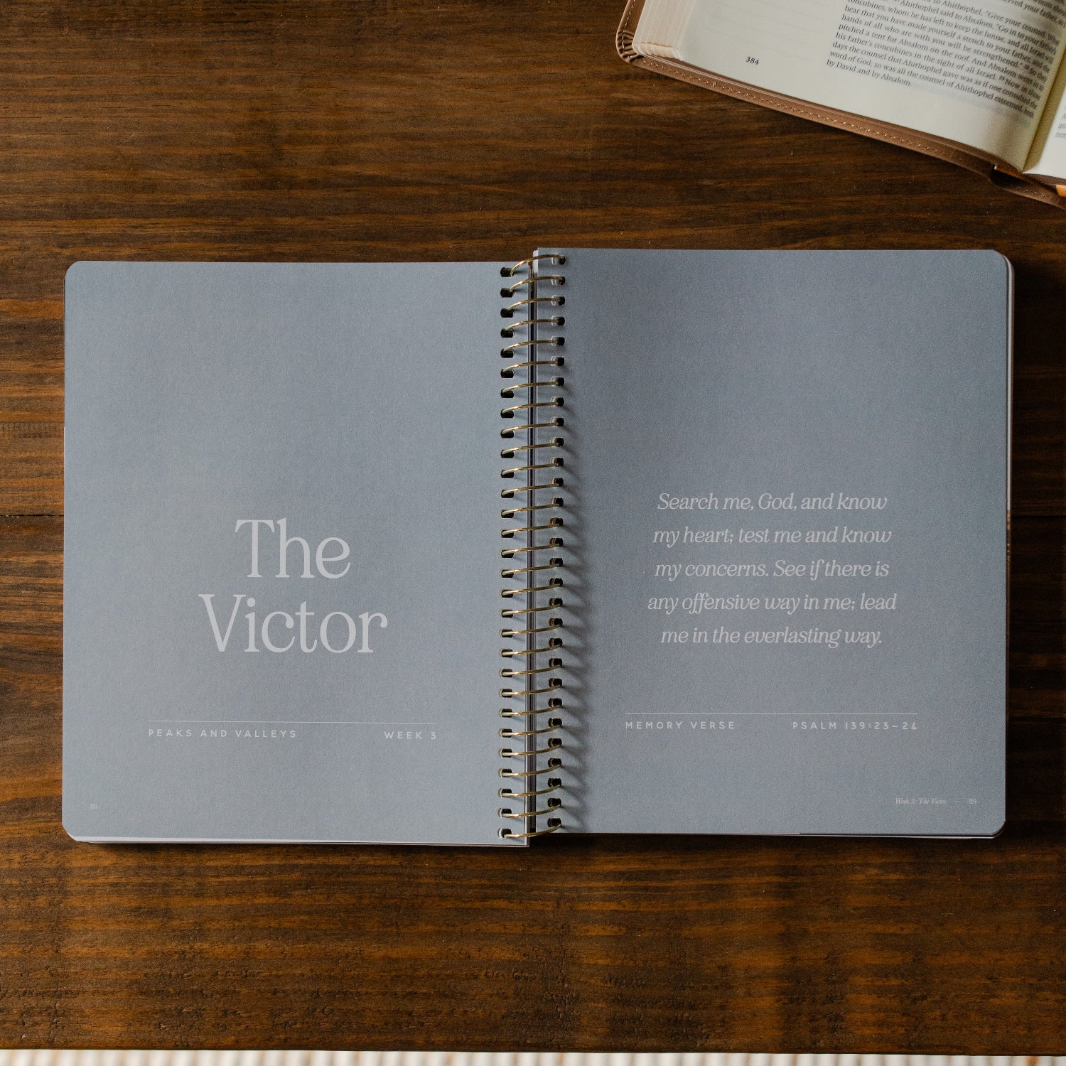Peaks and Valleys | A Study on the Life of David - Men - Image 9