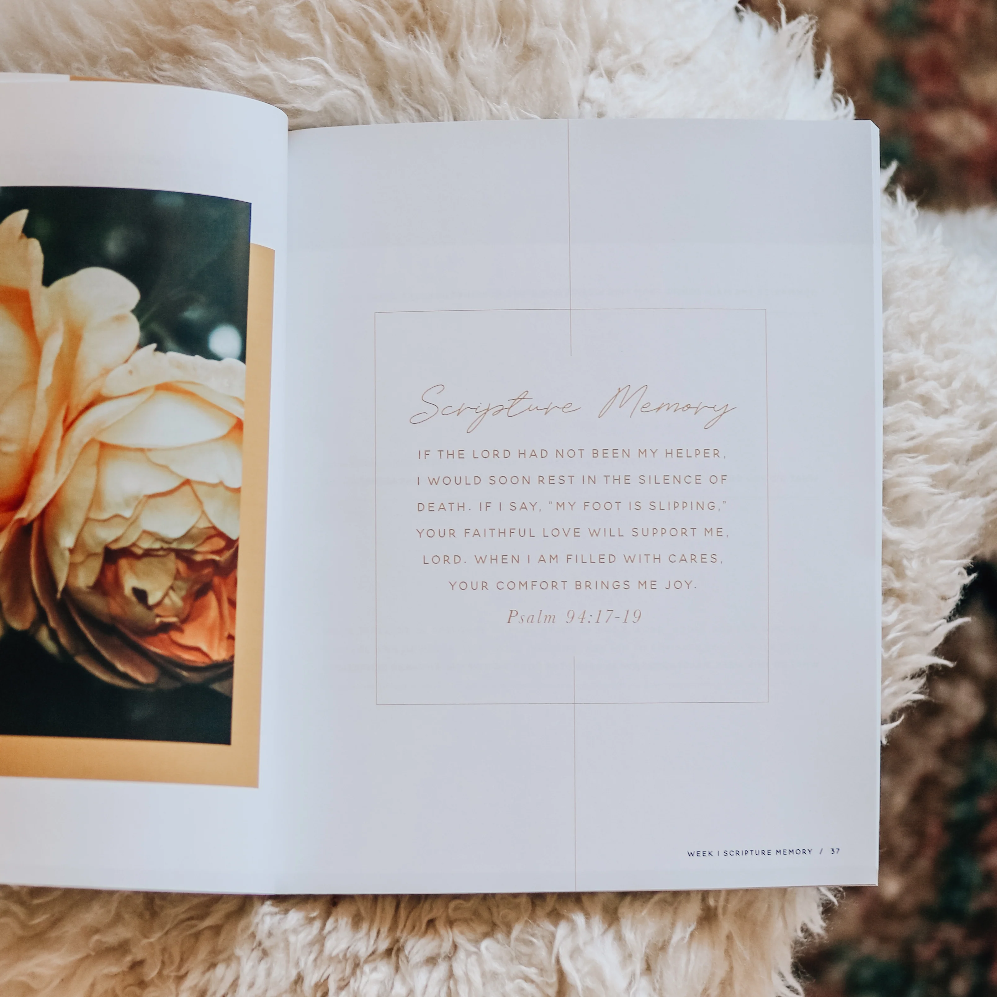 Praise Bible Study | Psalms 91-120 - Image 5