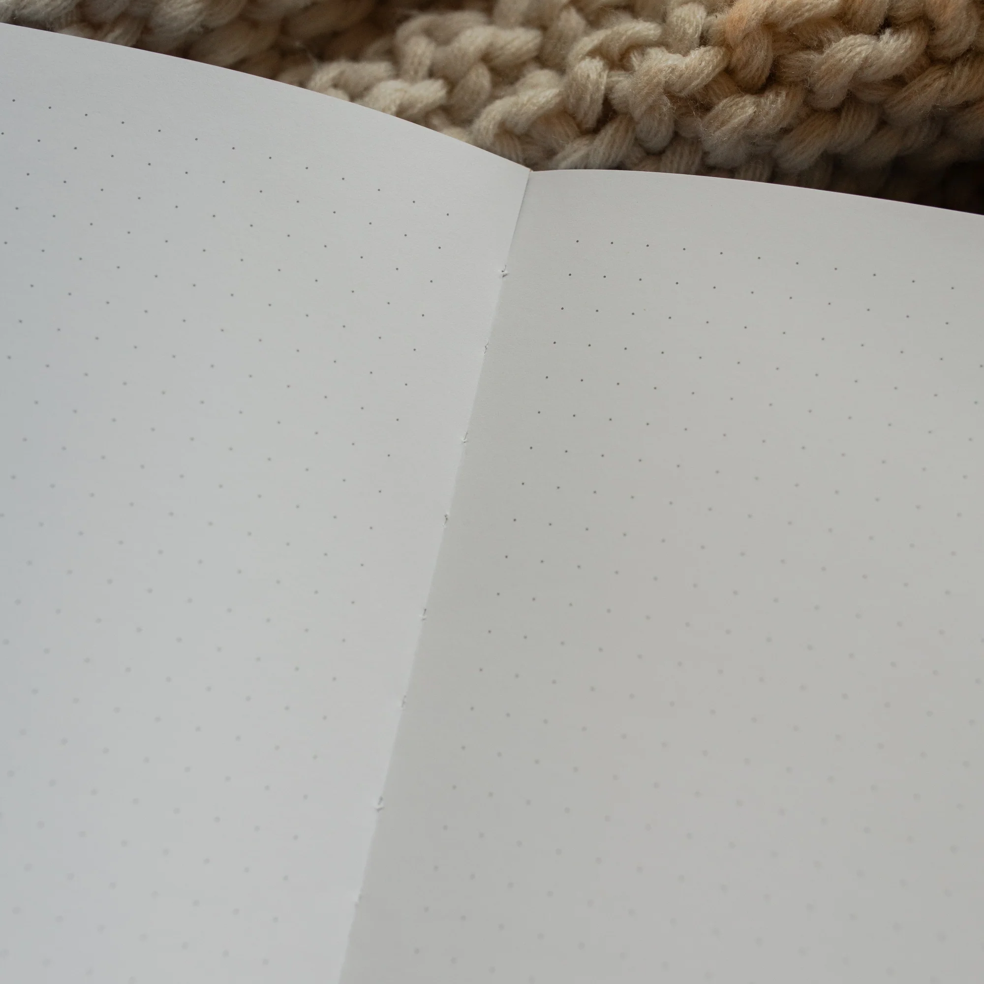 Psalm 121 Dotted Journal - Image 3