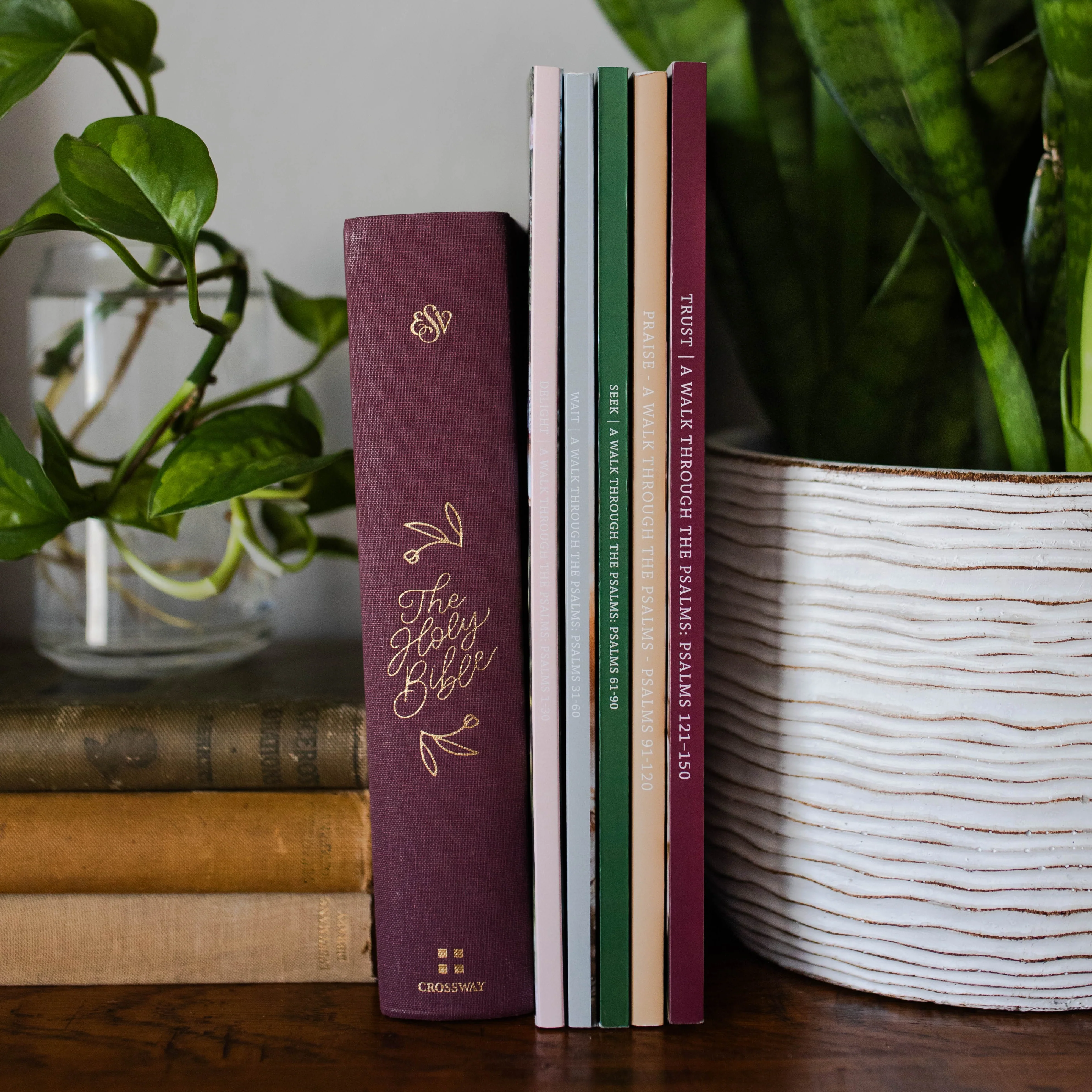 Psalms Bundle - Image 2