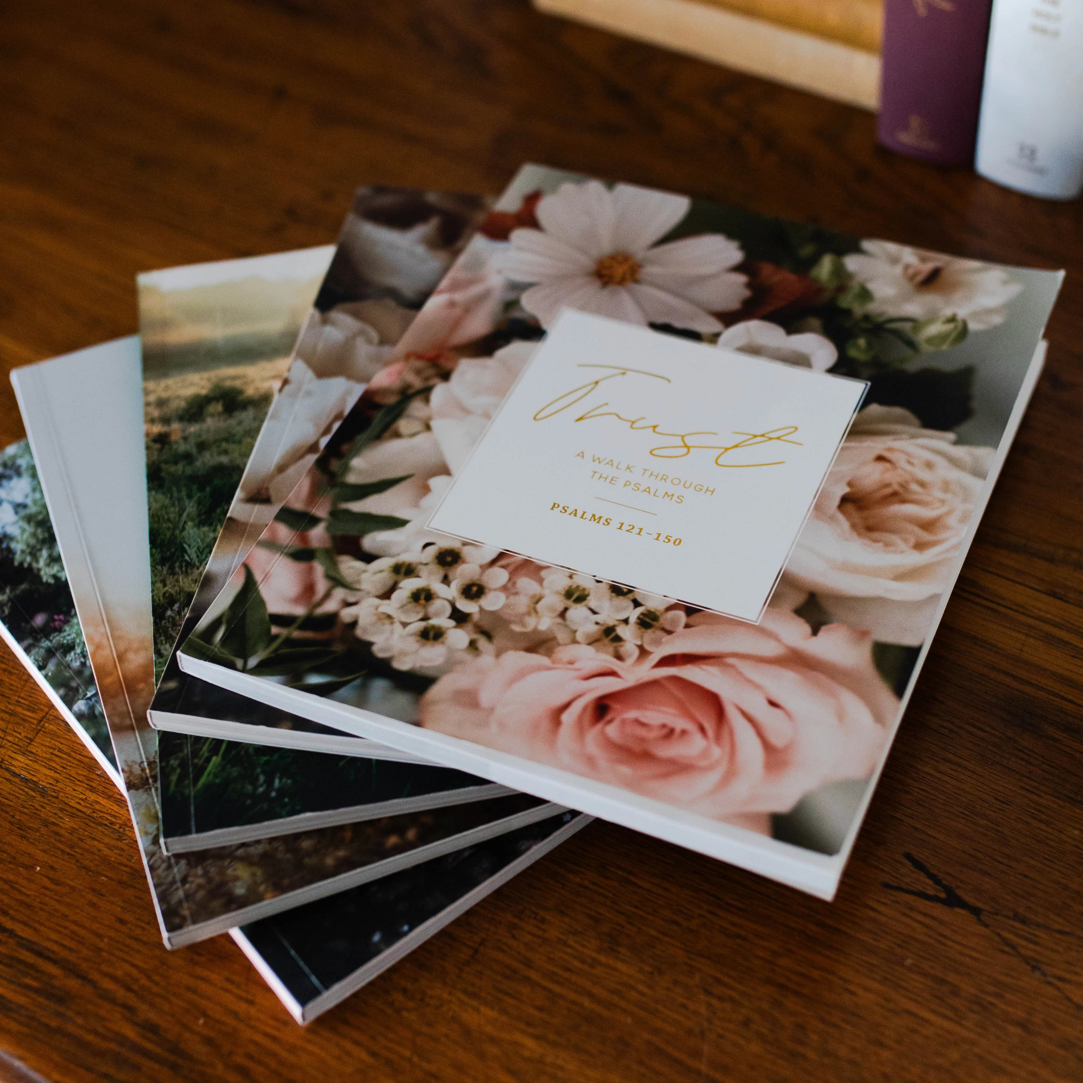 Psalms Bundle - Image 3